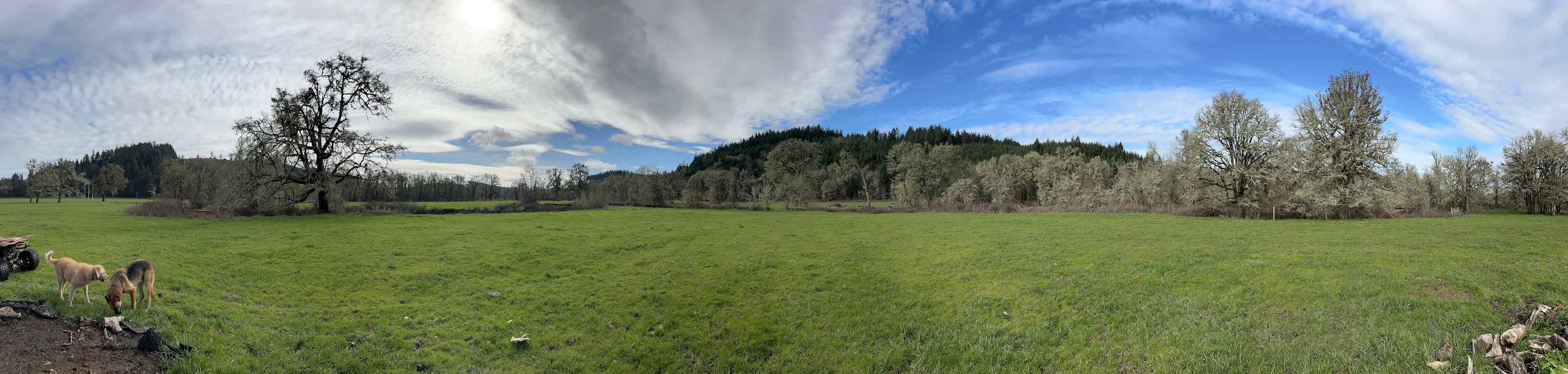 Coyote Camp