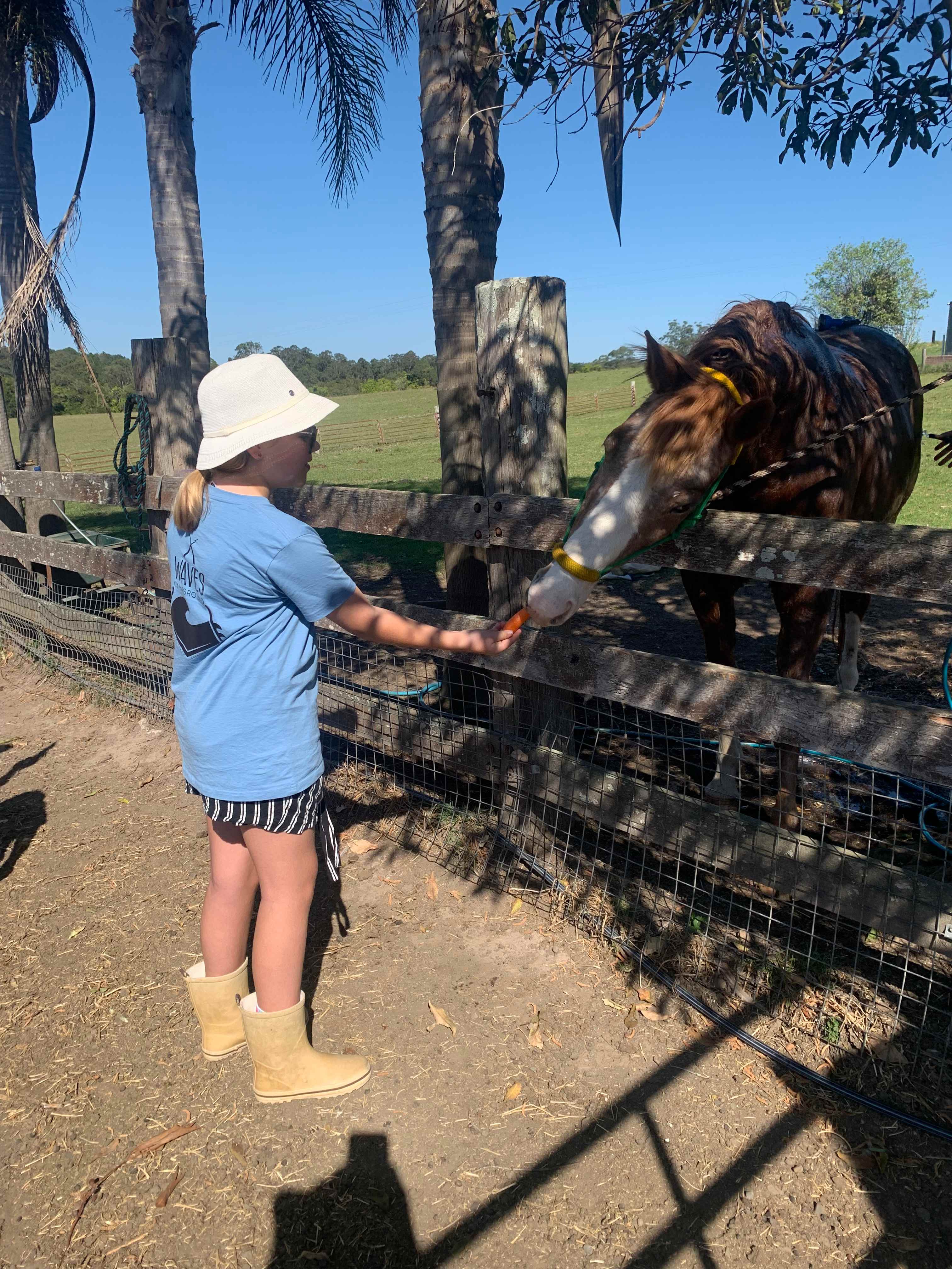 Whispering Mountain Farm