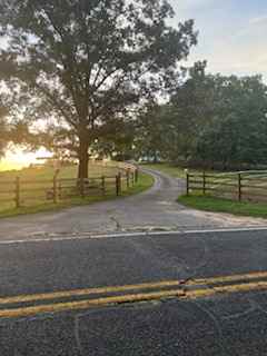 Camping With Mini Cows And More!