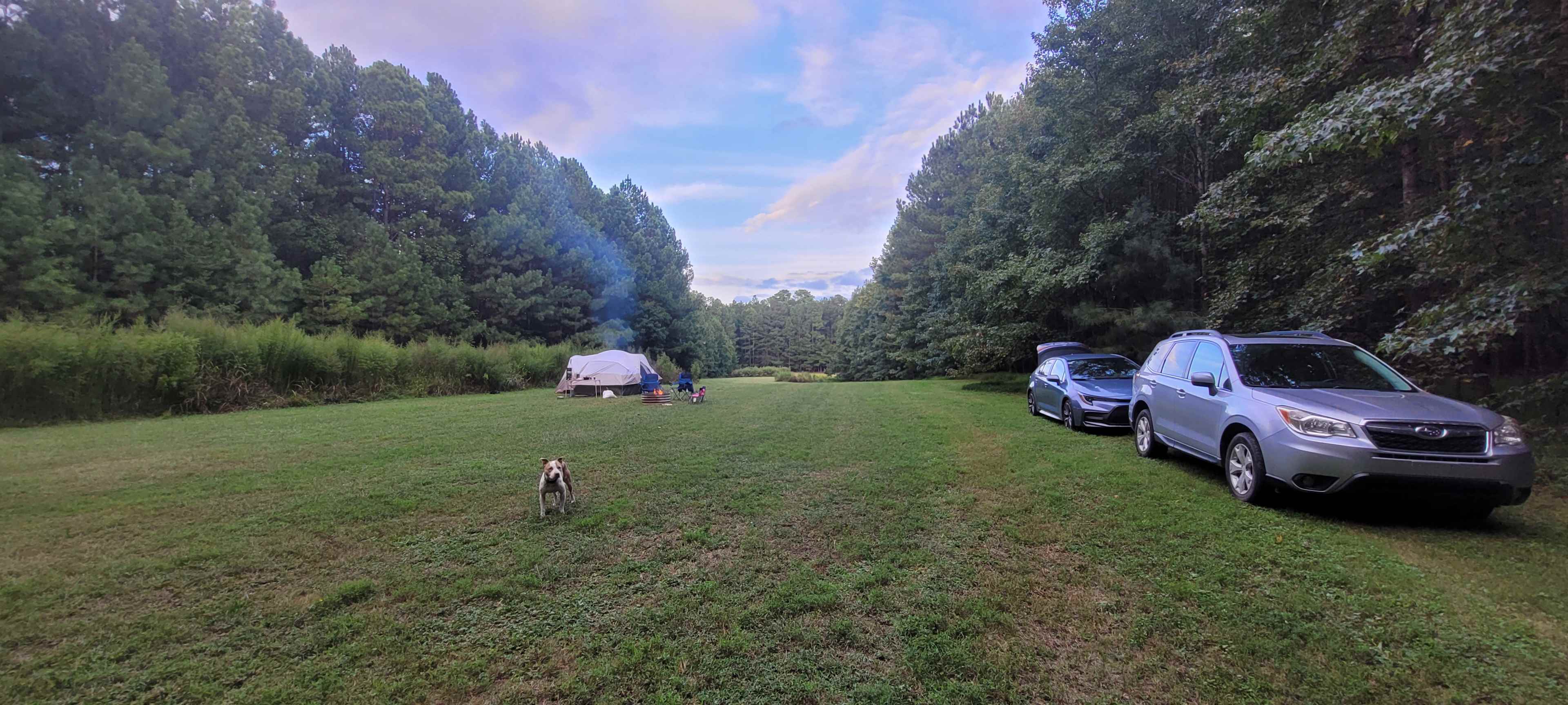 Rural Chapel Hill Forestry Stay