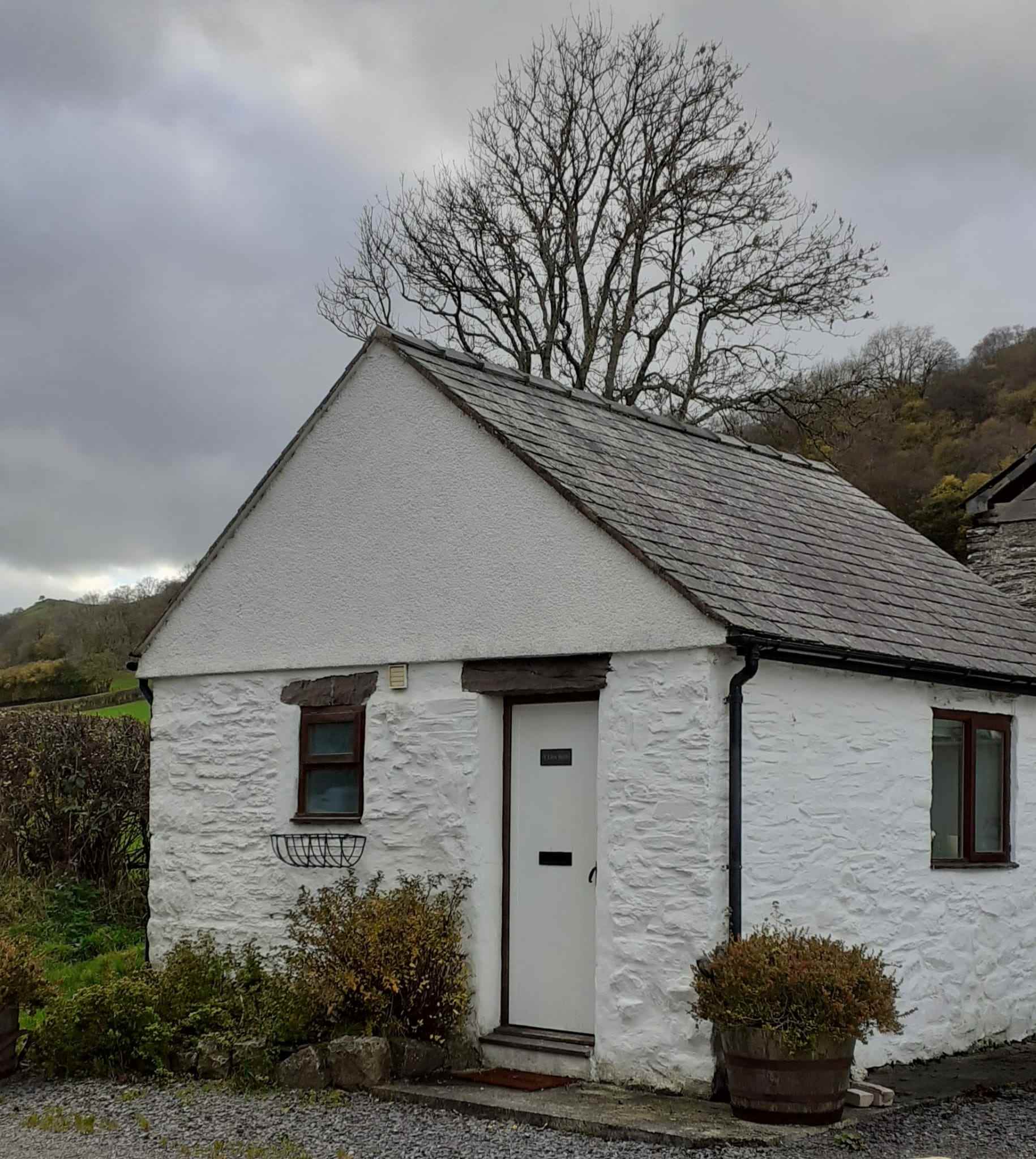 Y Llew Bach Cottage