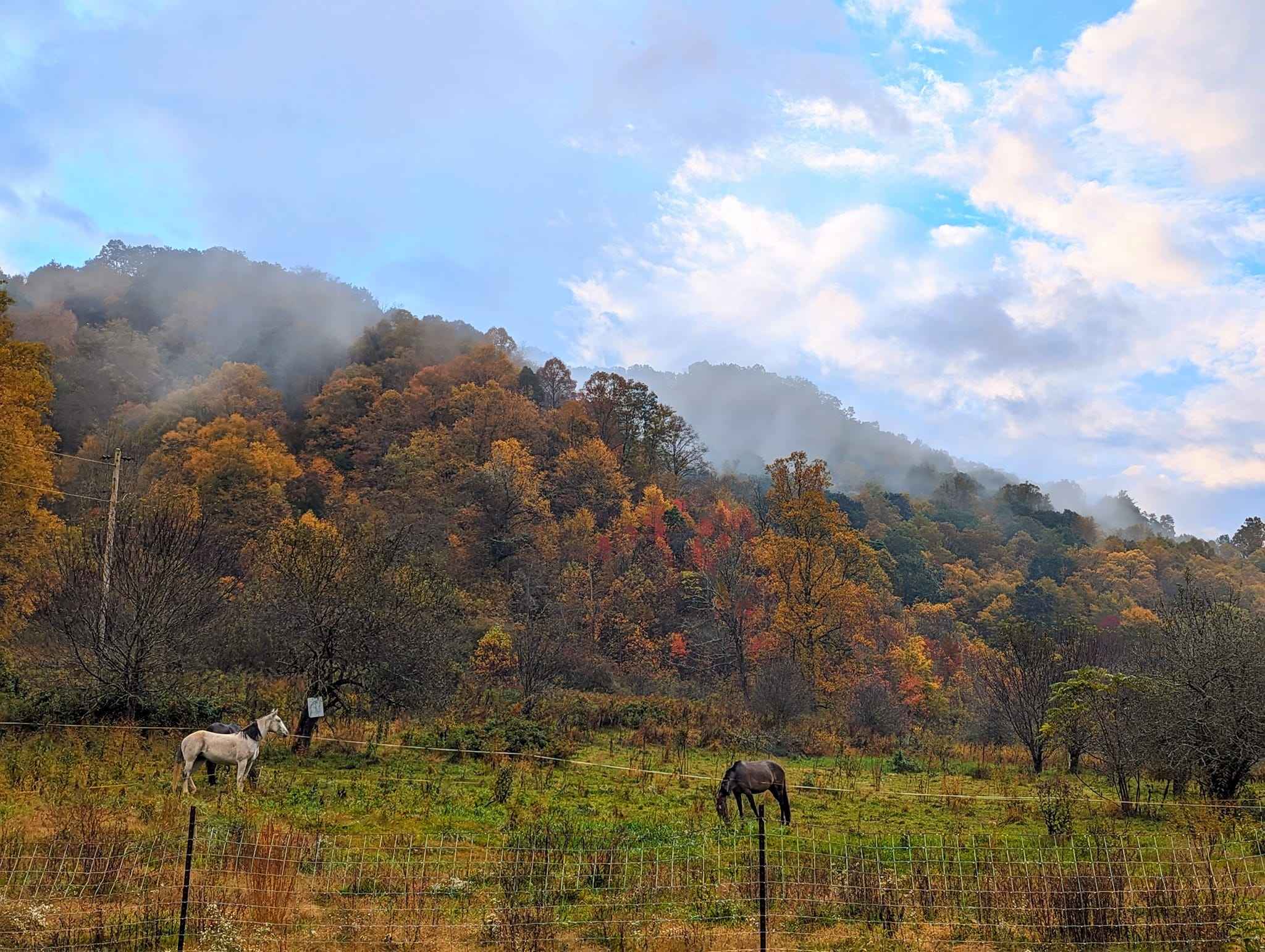 Intrepid Acres