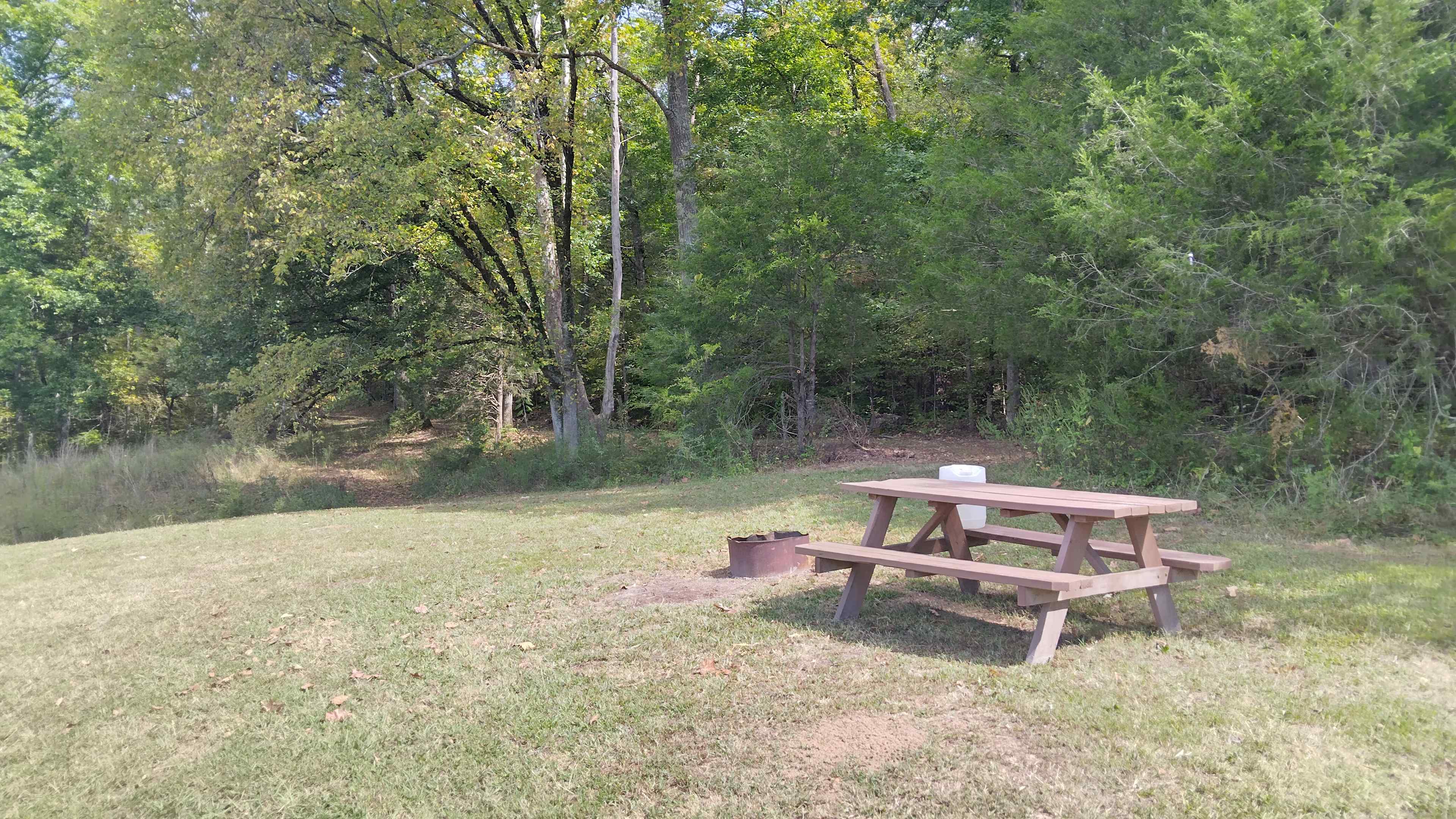 Harmony hollow