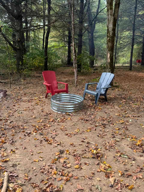 Peaceful Pines