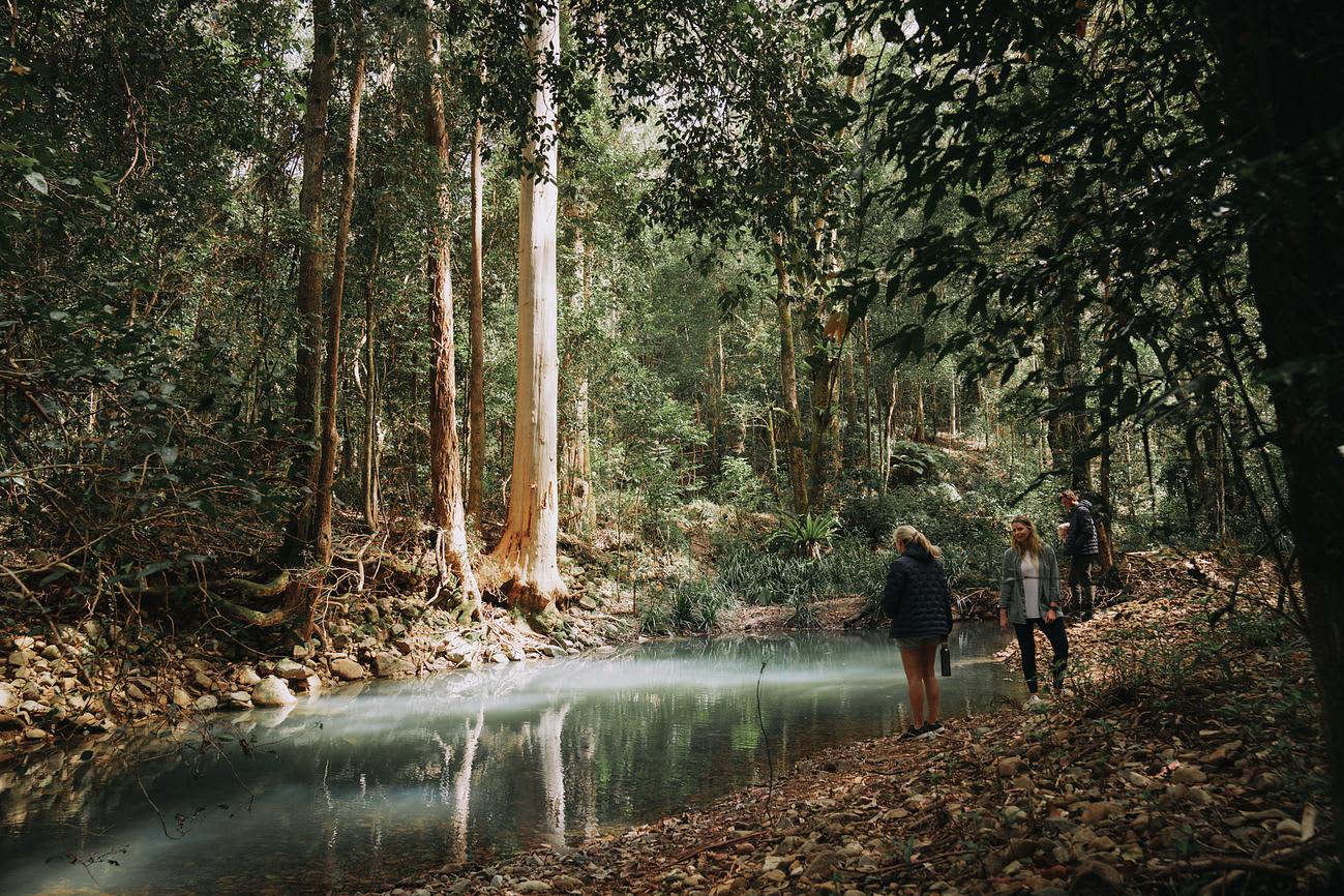 Carawirry Forest Escape