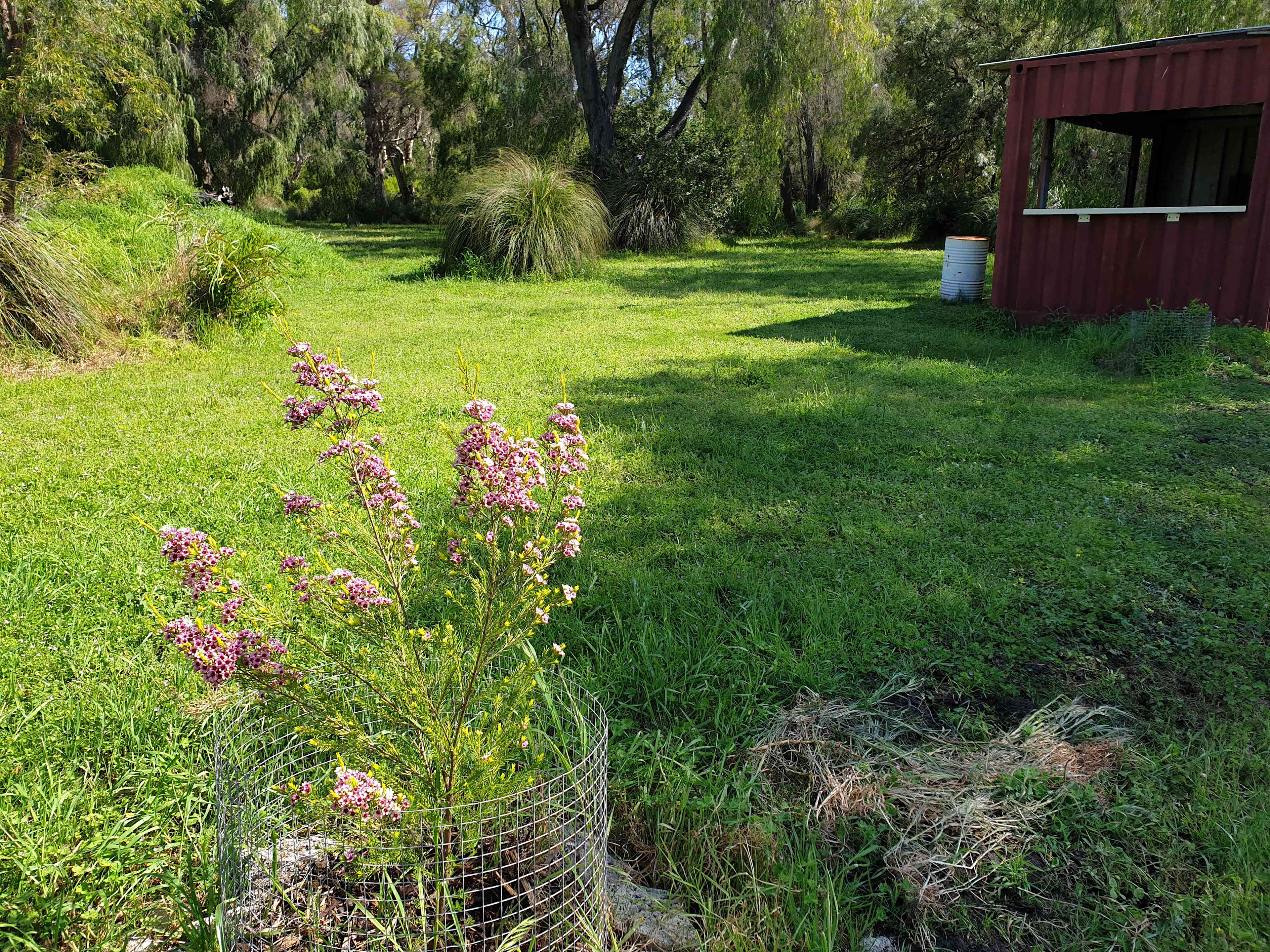 Paperbark Retreat