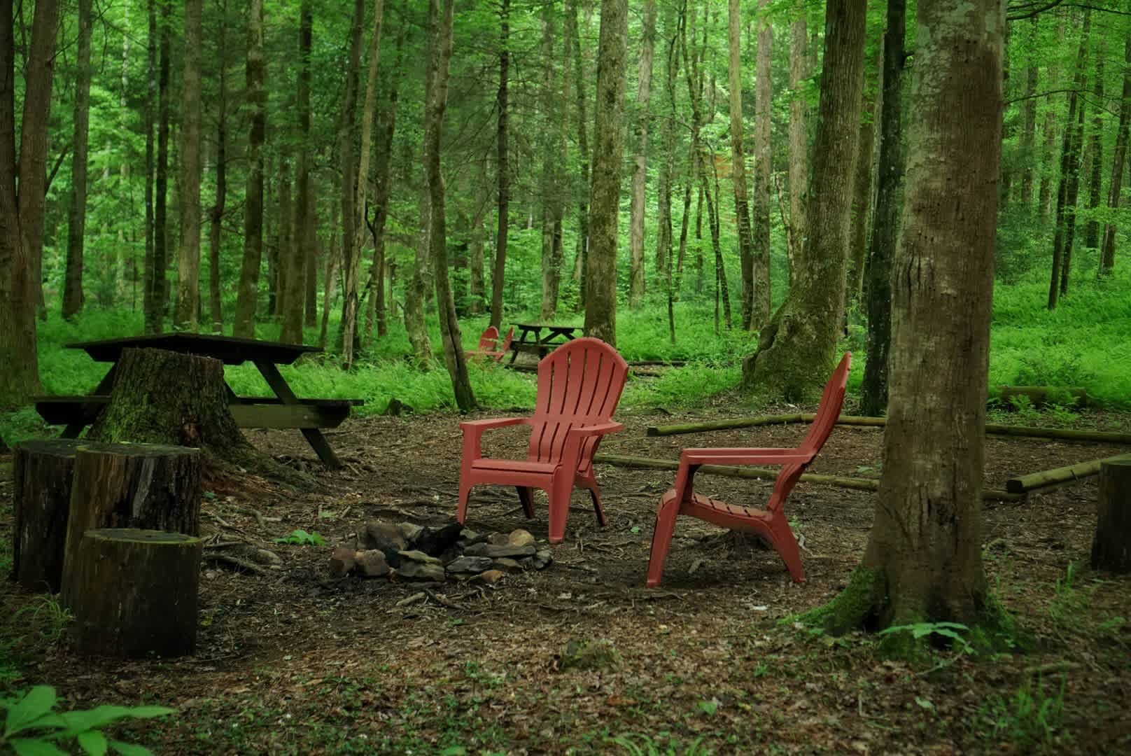 Mulberry Gap - Camping & Van Stays