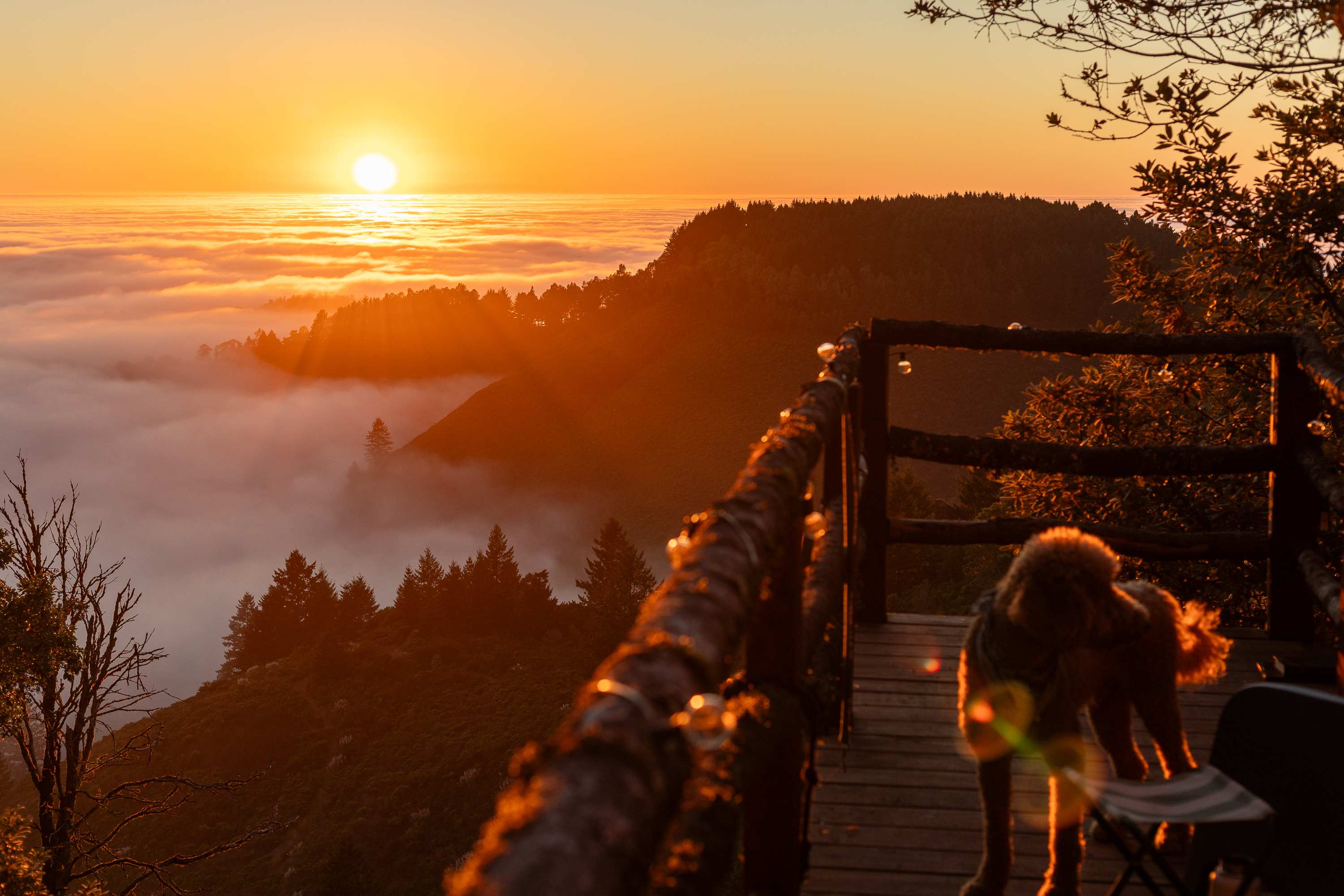 Kings Mountain Camp w/ ocean views