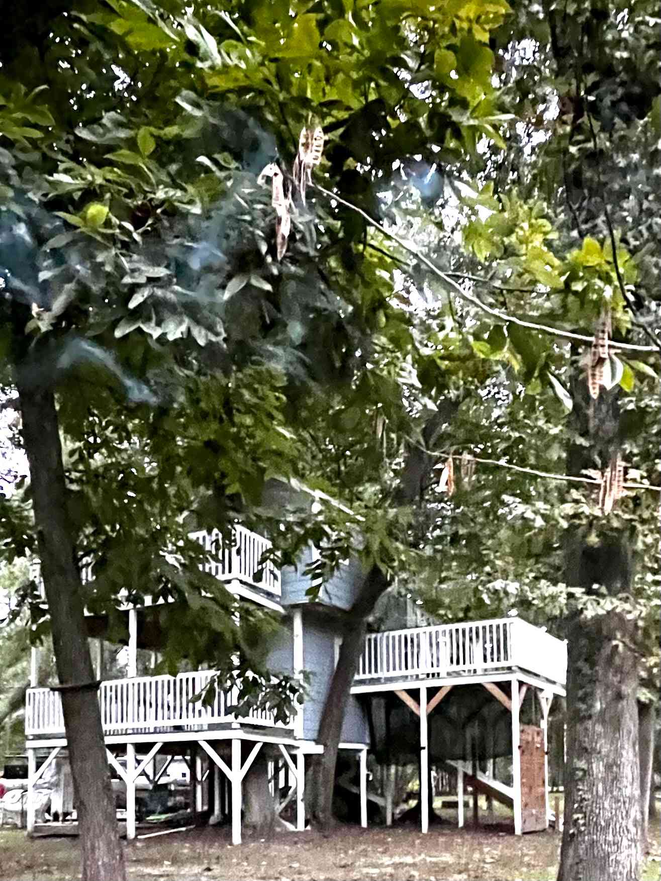 Three Story Hollywood Treehouse