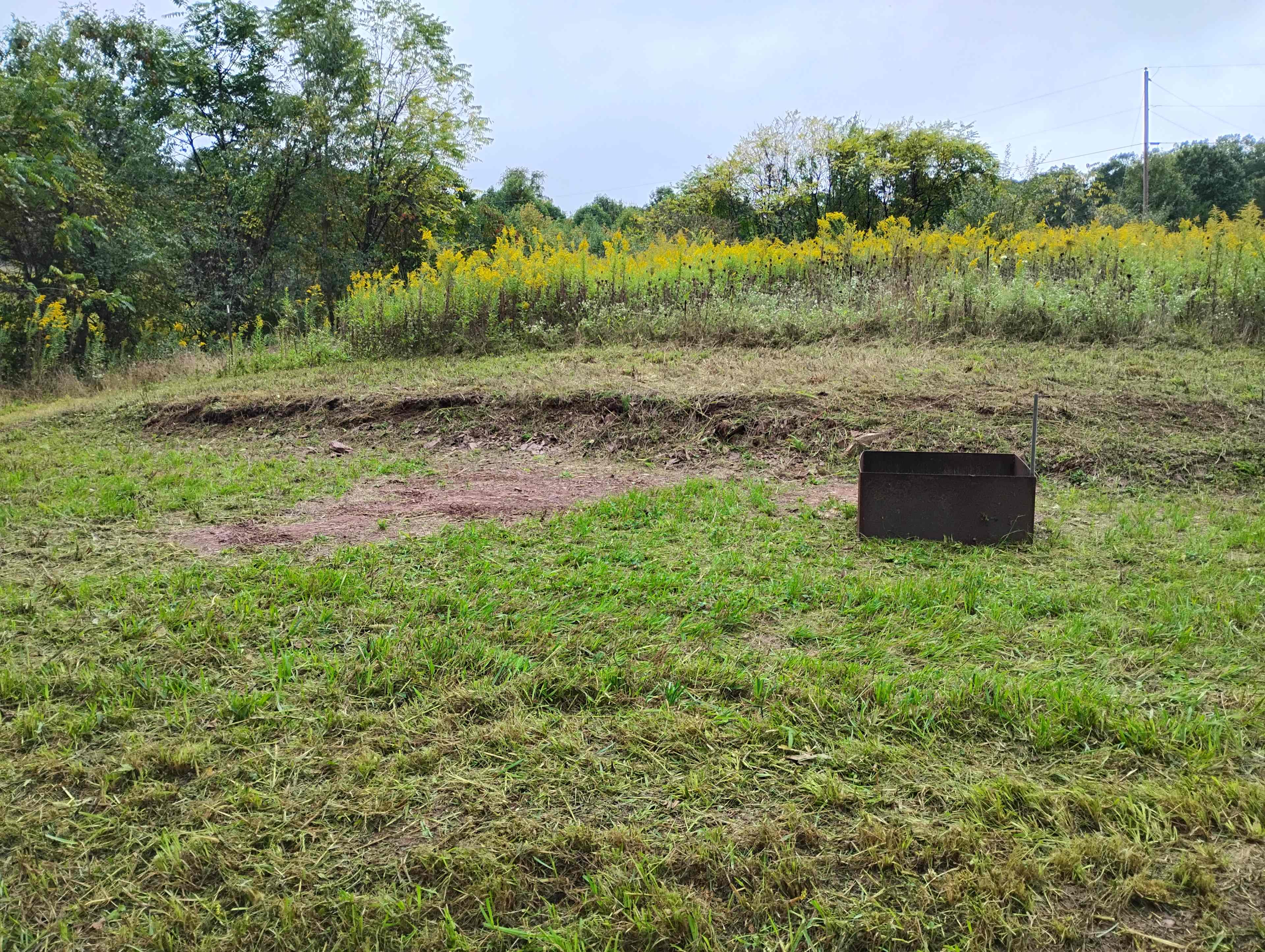 The Farm at Millwood Drive