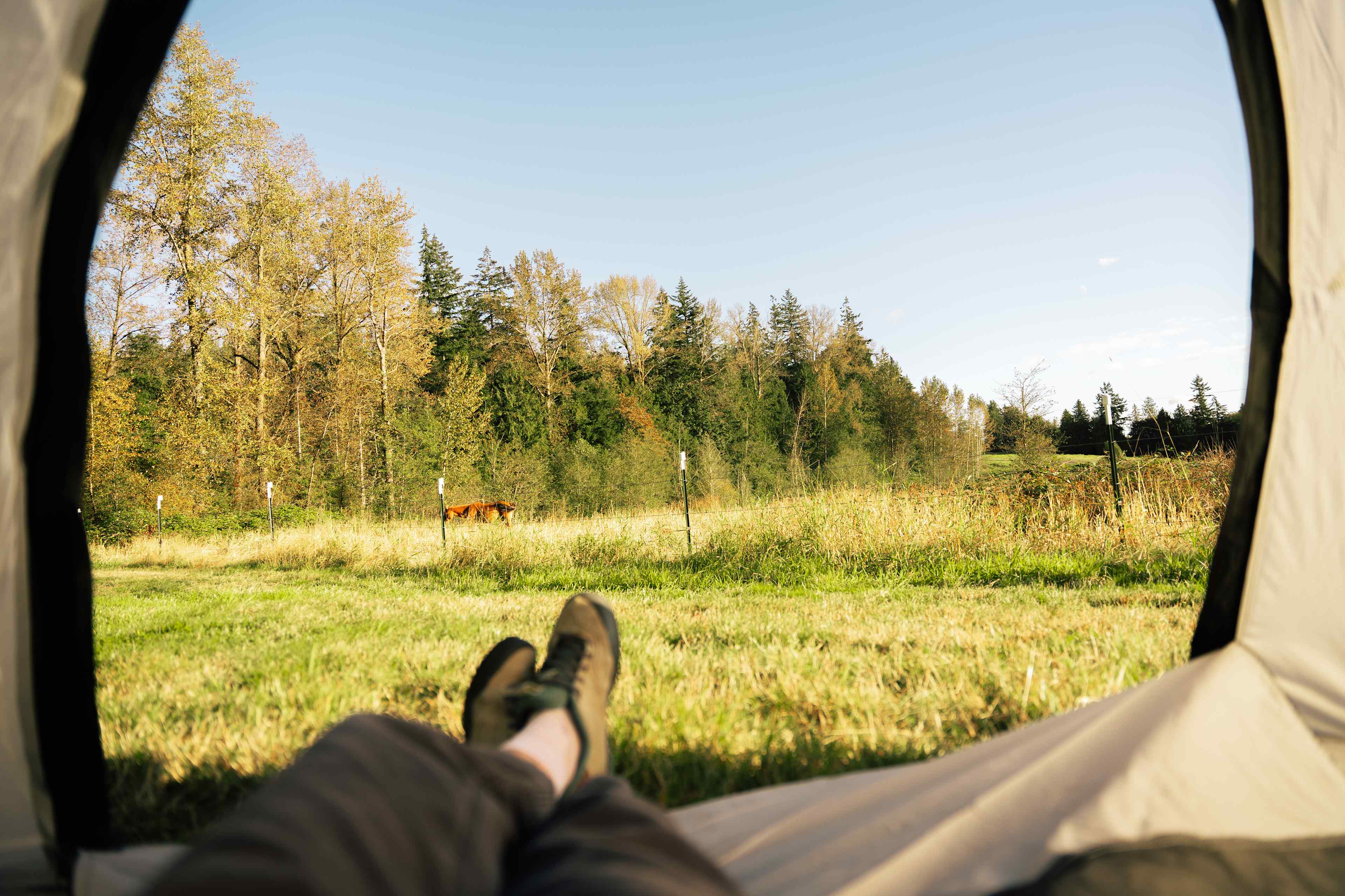 Otter Pond Pastures