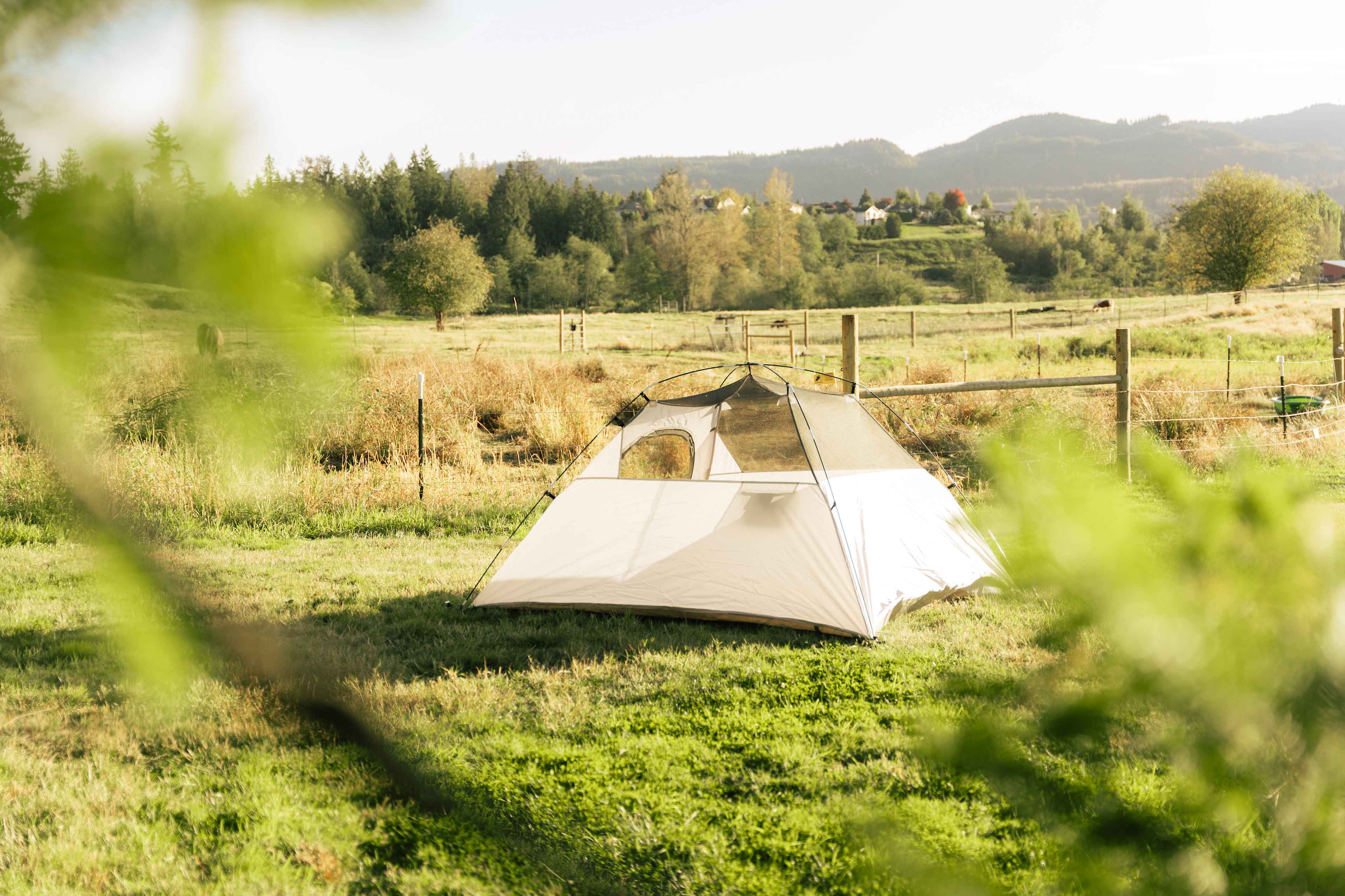 Otter Pond Pastures