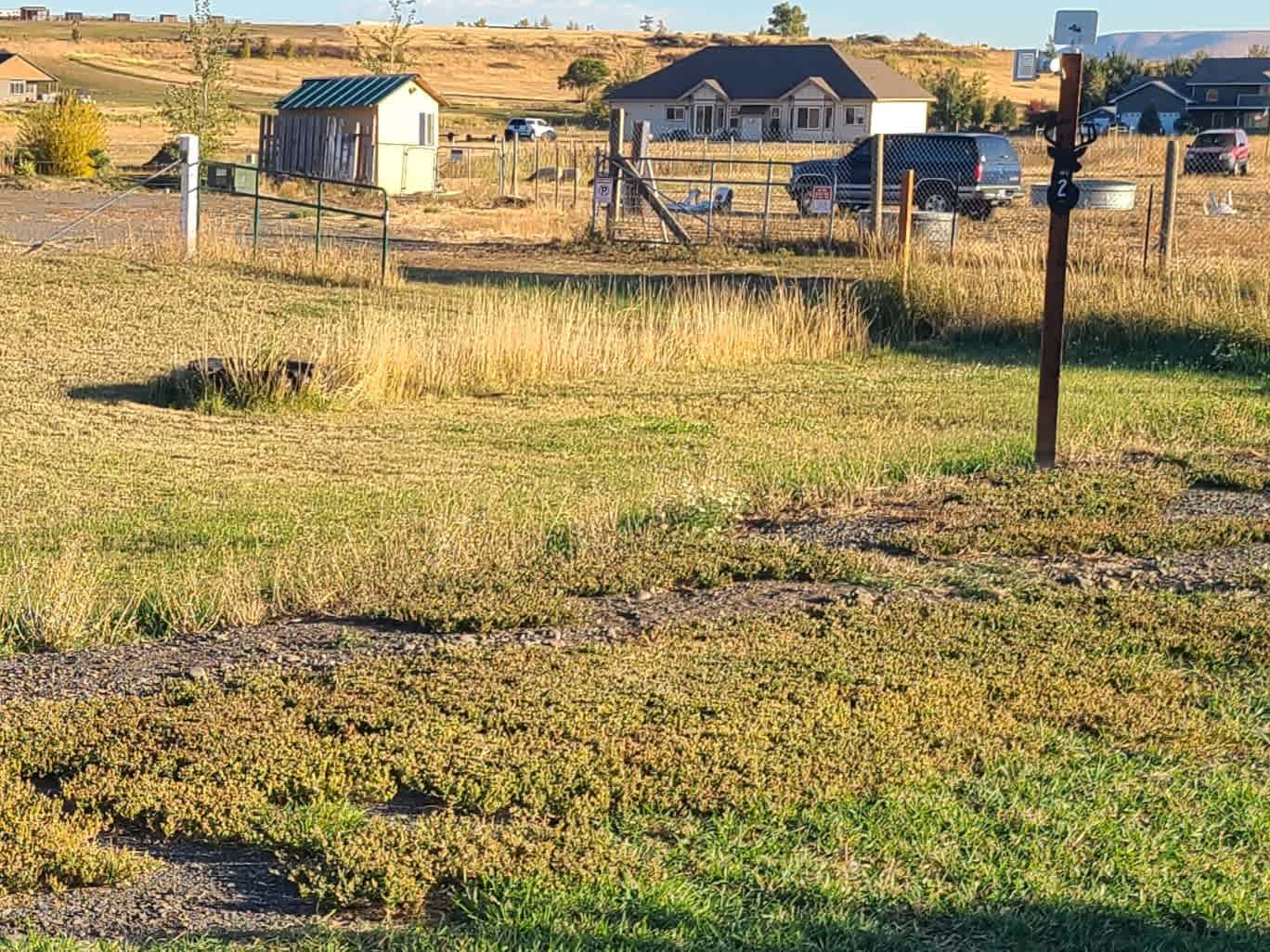 Currier Creek Camp