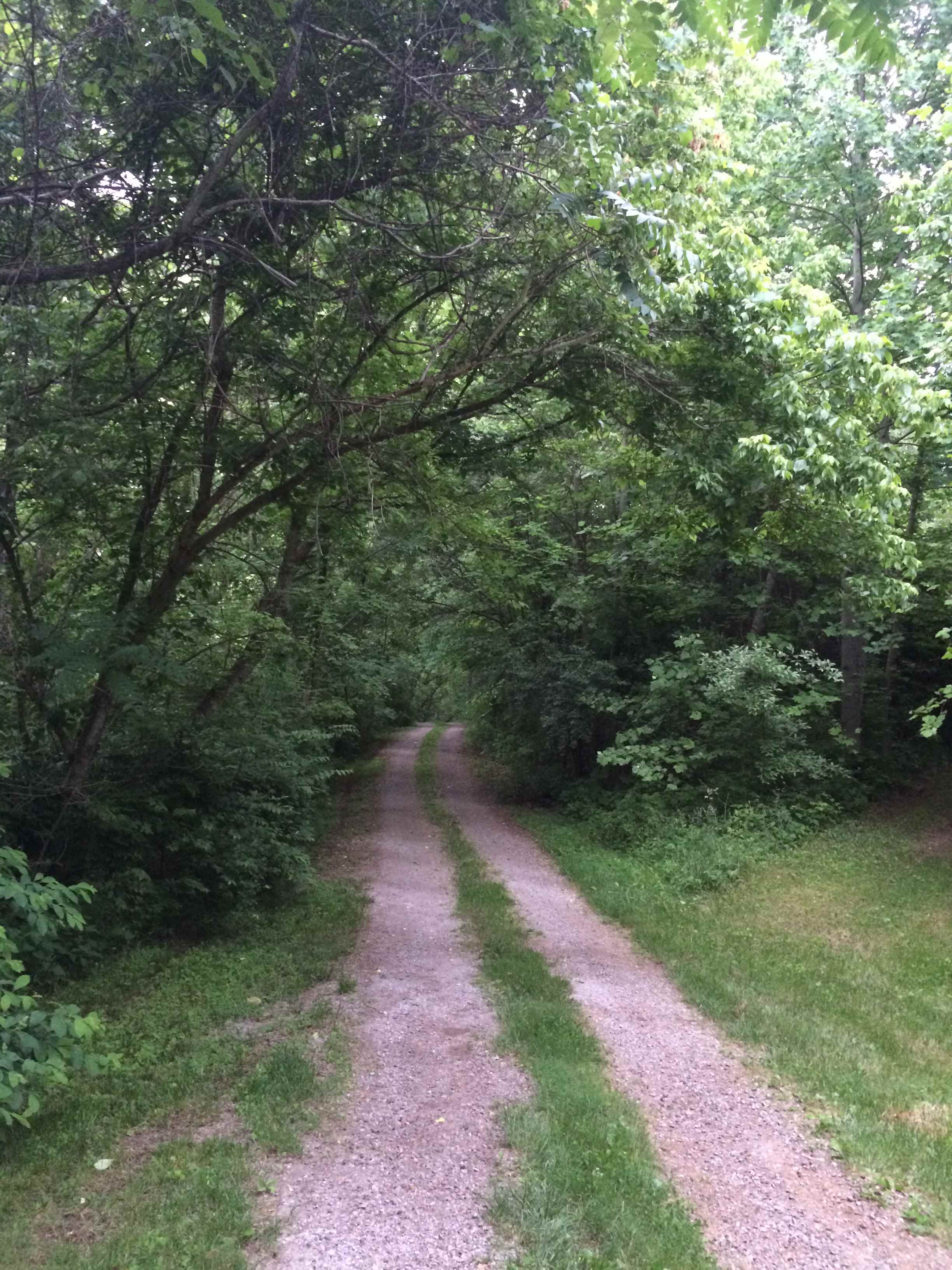 Drive just before reaching entrance to Henry's Holler