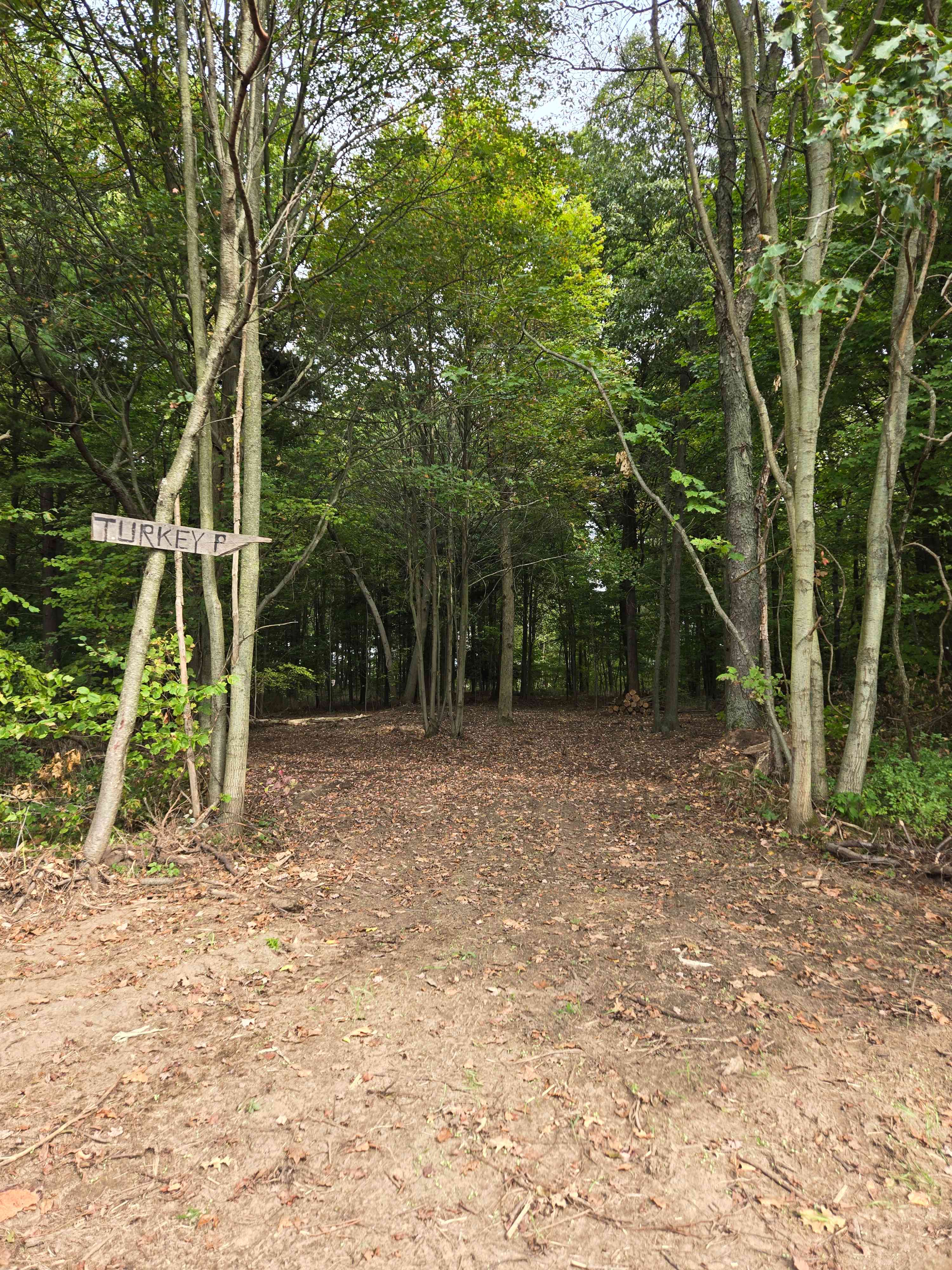 Spring Arbour Magic Forest &Trails!