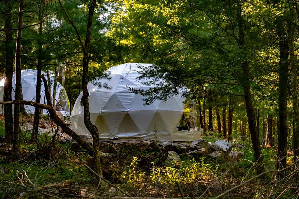 Glamping with the Wild Horses