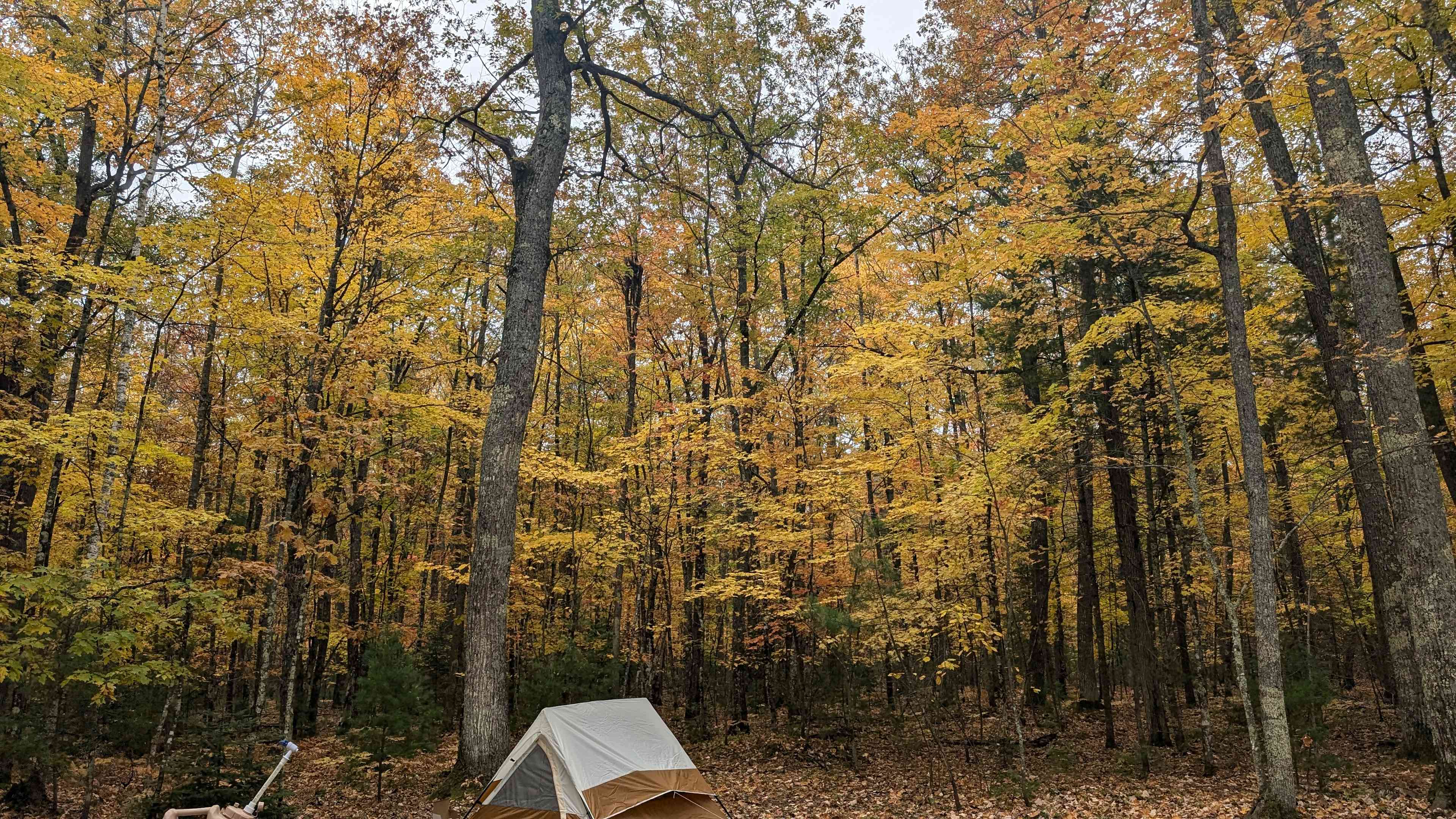 Camp Serenity