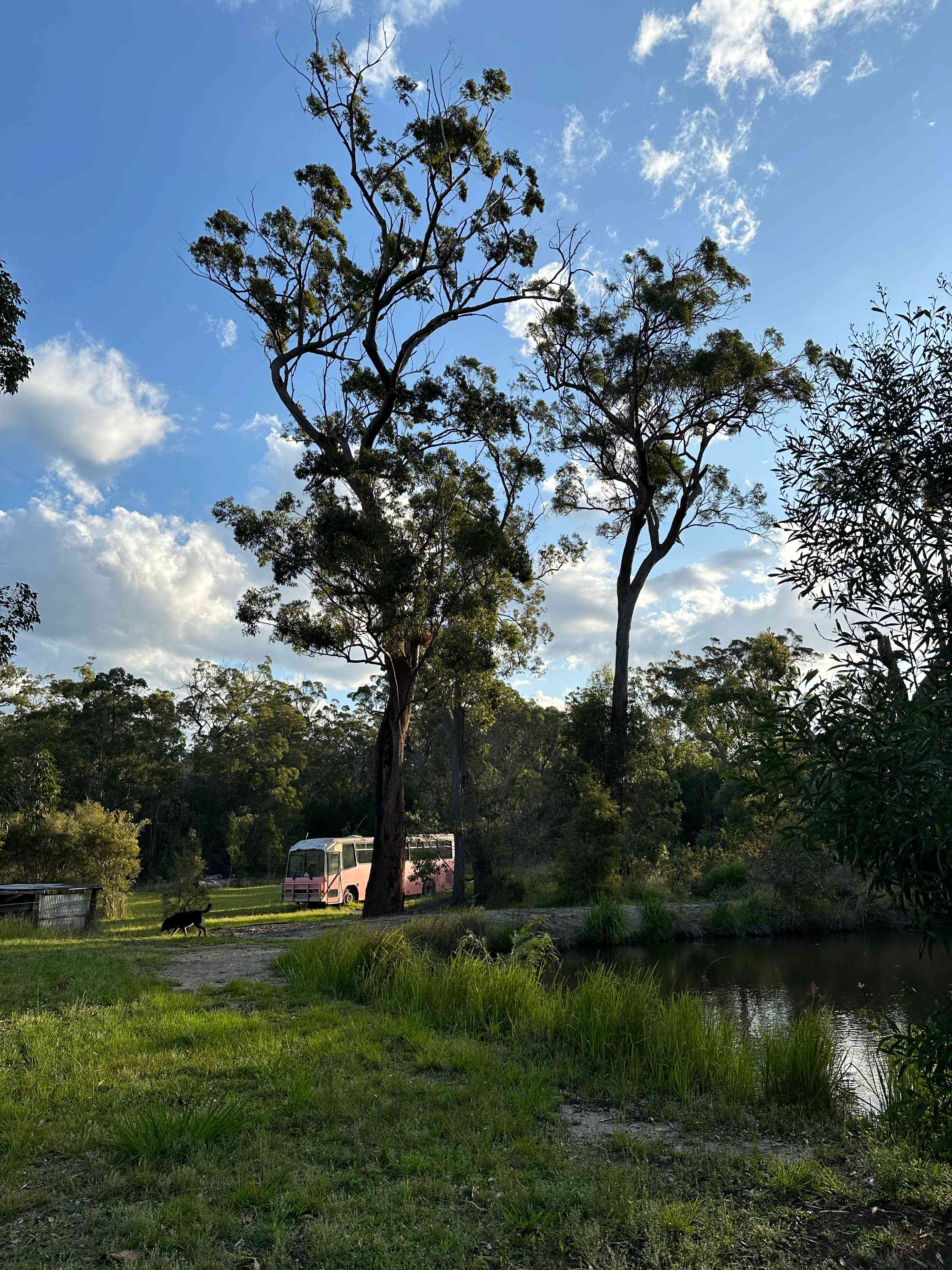 Losfergos Eco Accommodation