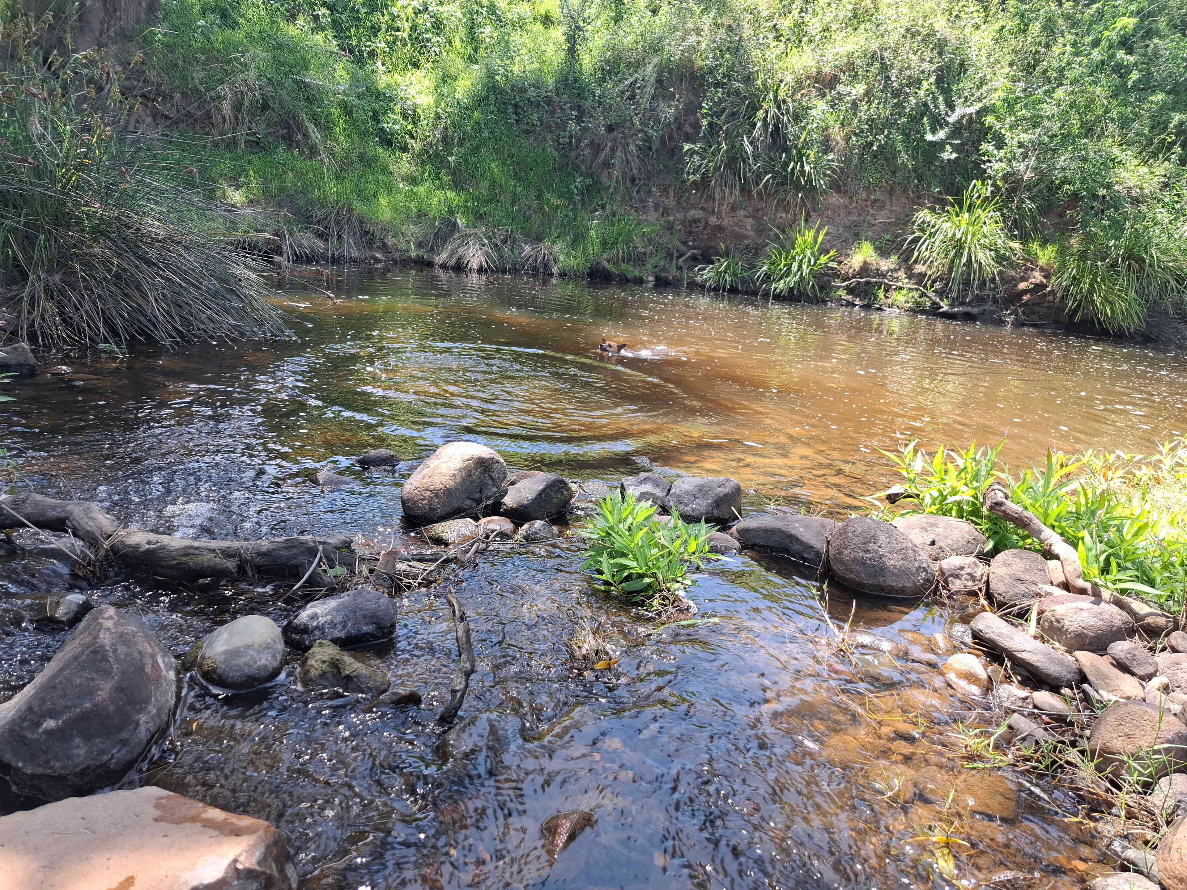Middle Creek Camp