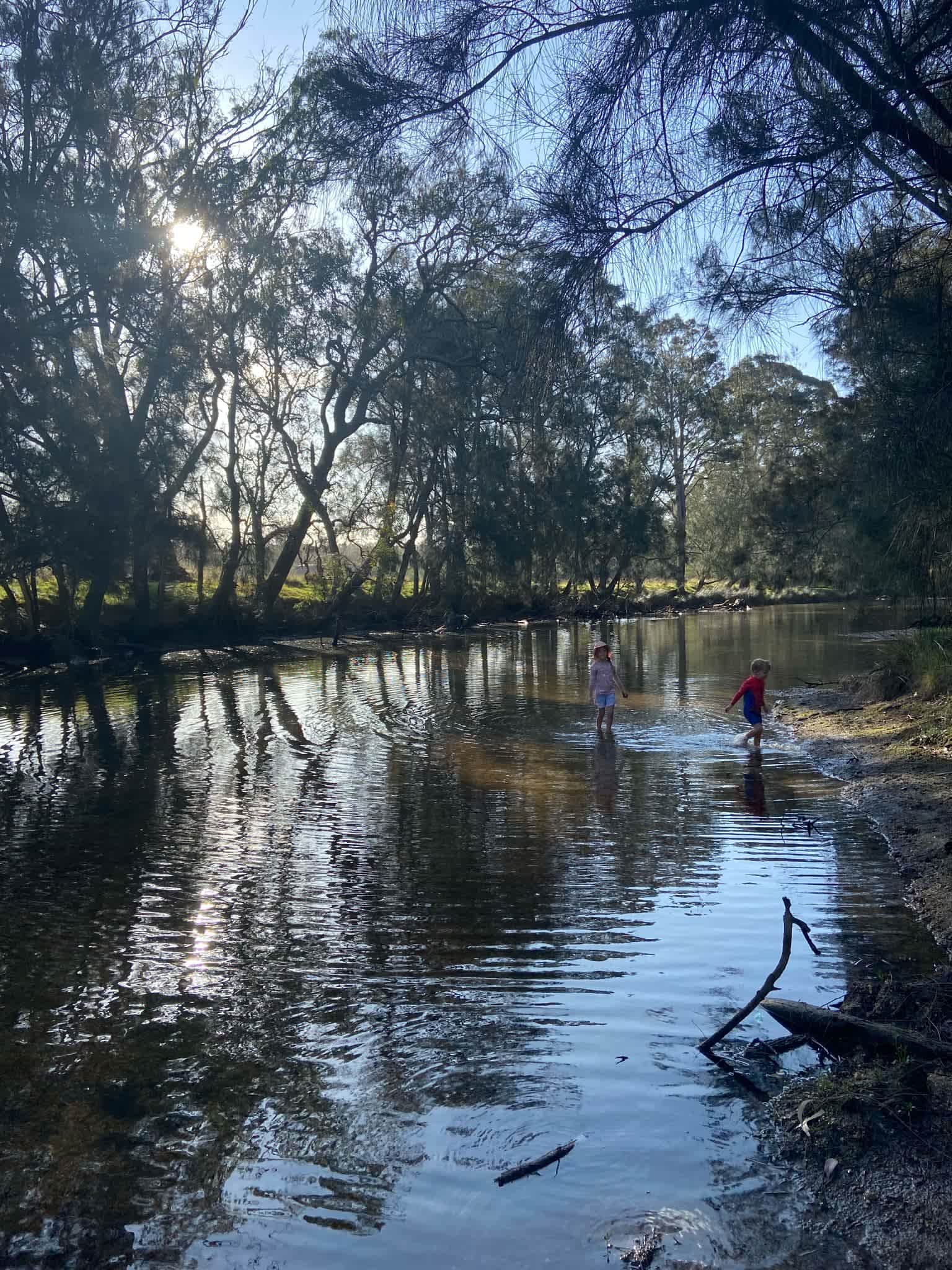 Tidal creek on property.