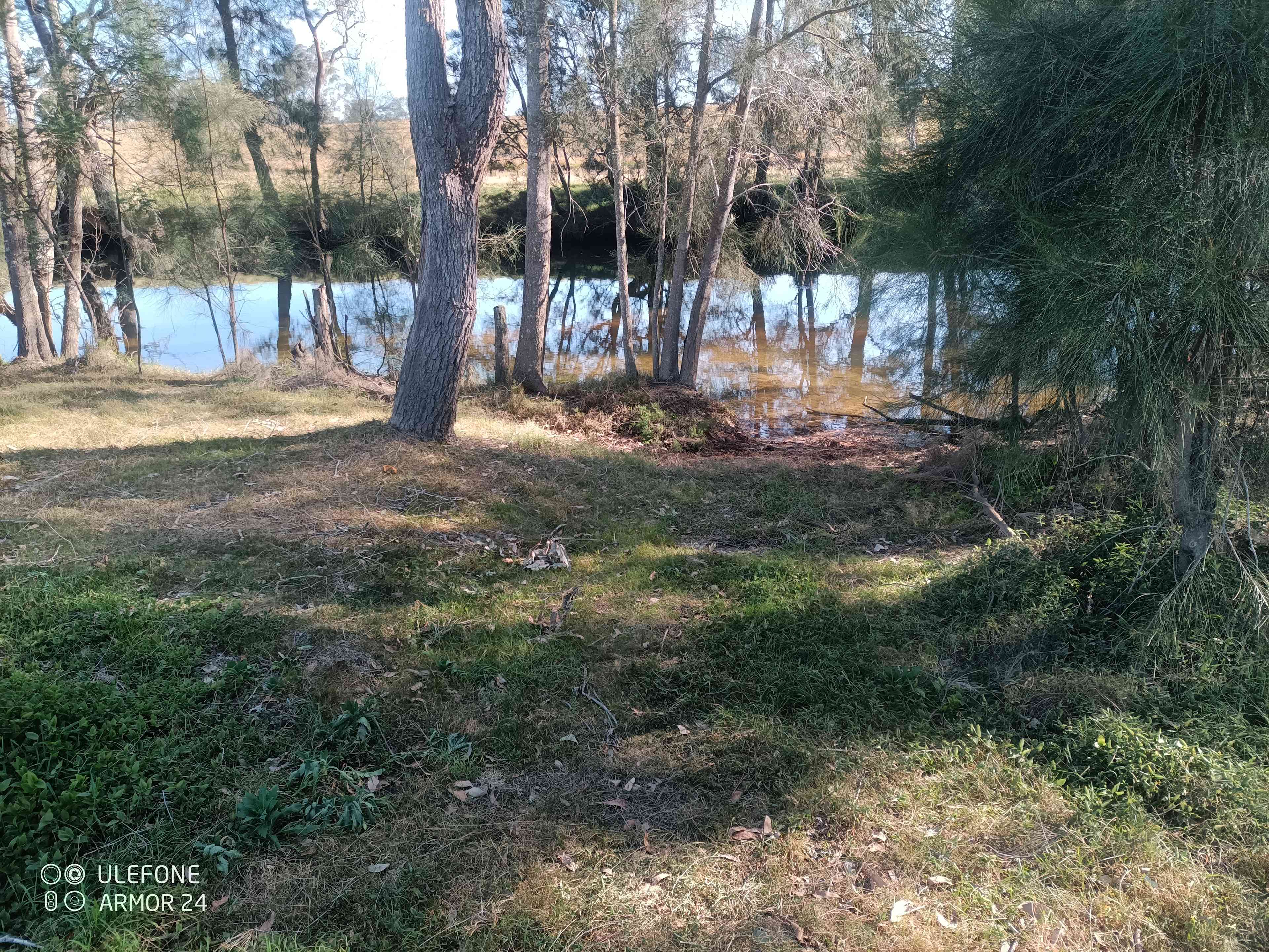 Mogo Creek Homestead