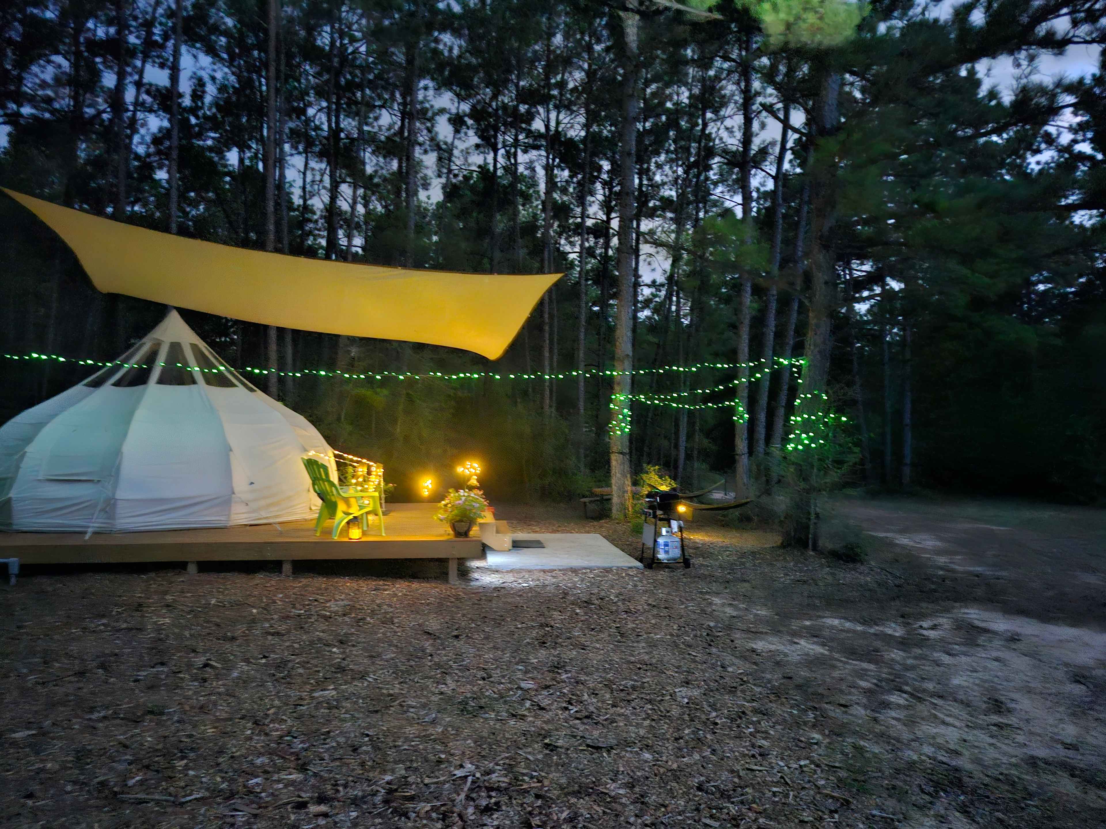 Wild Wood Haven