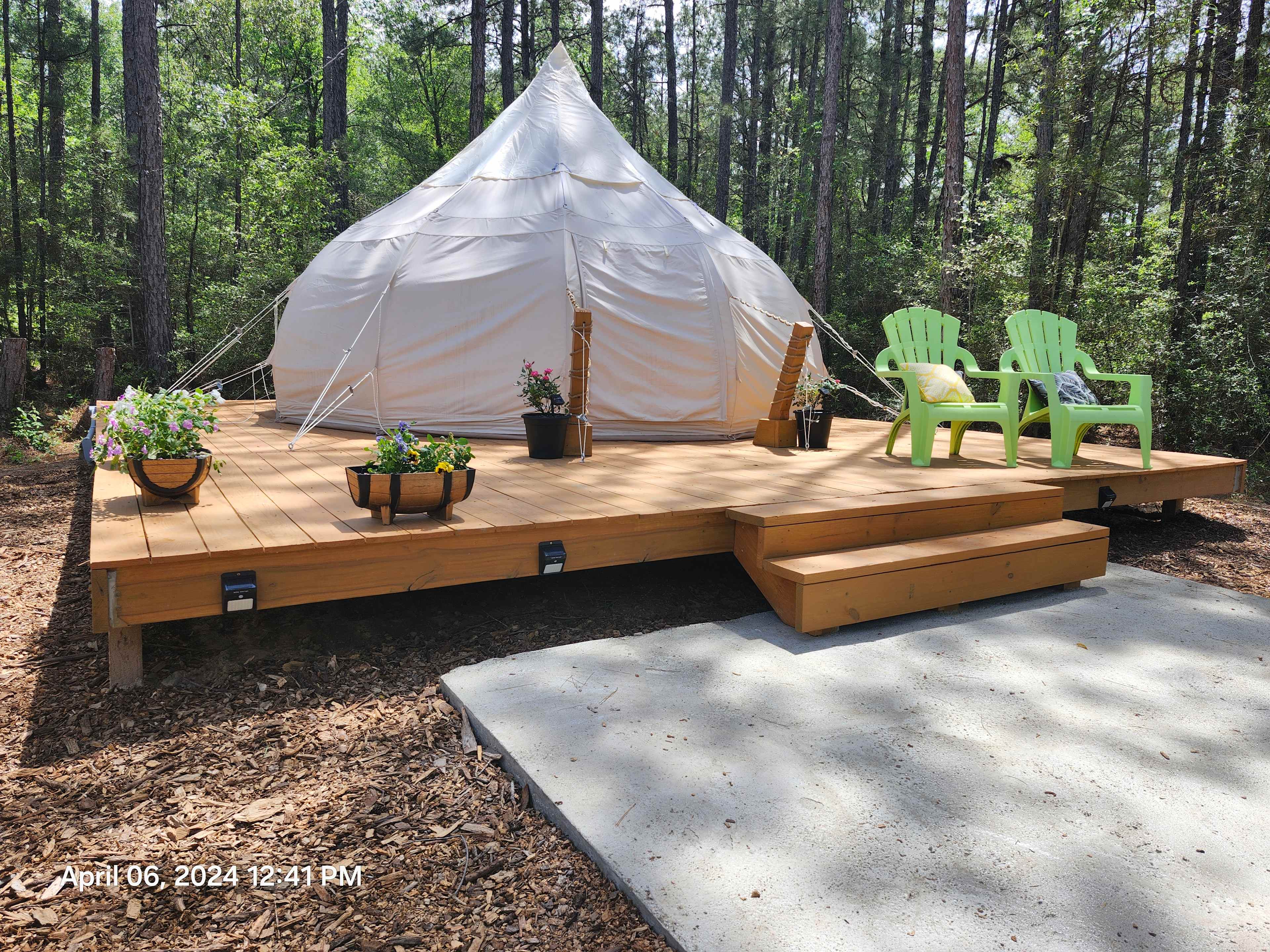 Wild Wood Haven