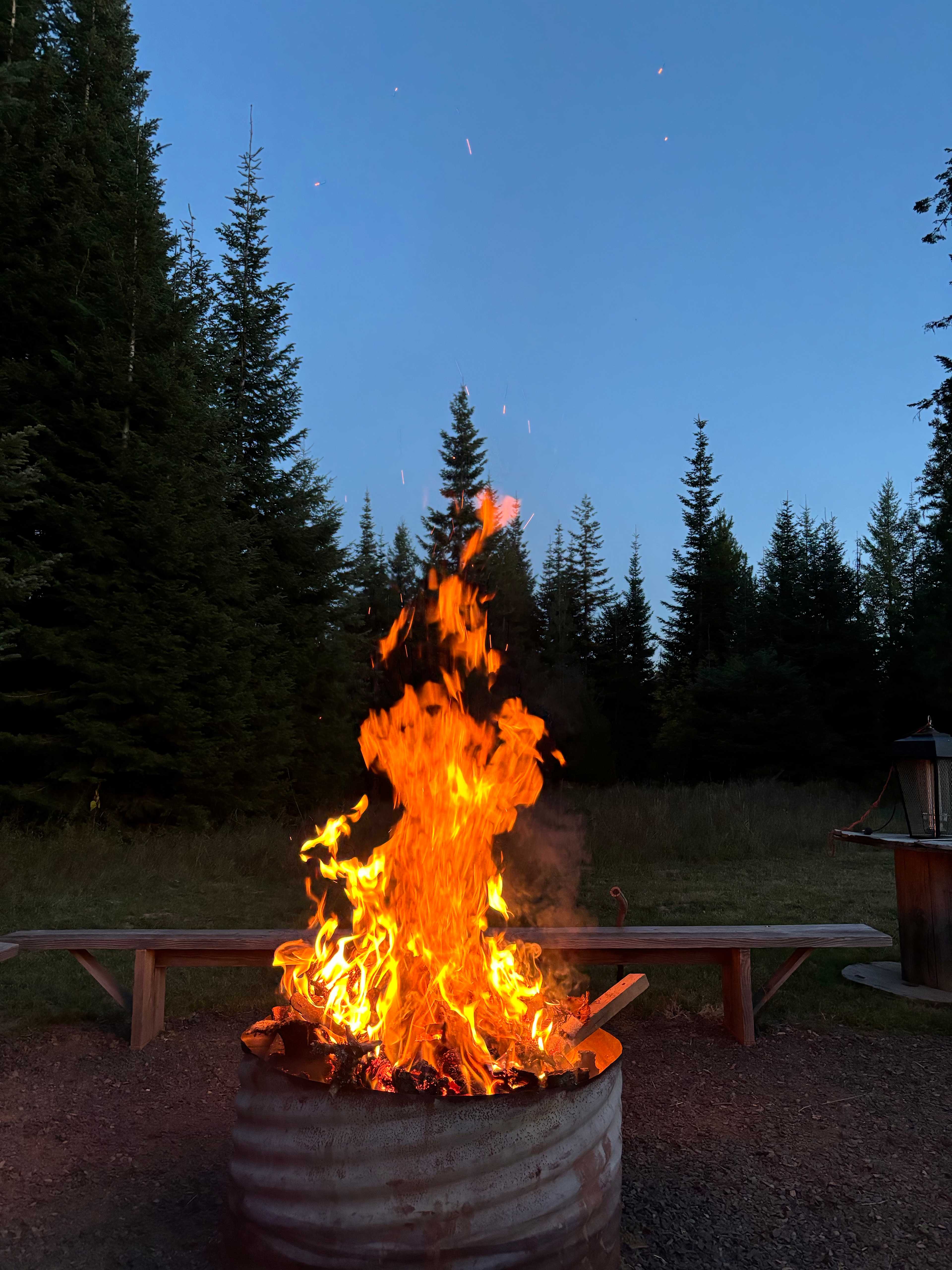 R&R Camping in the Forest