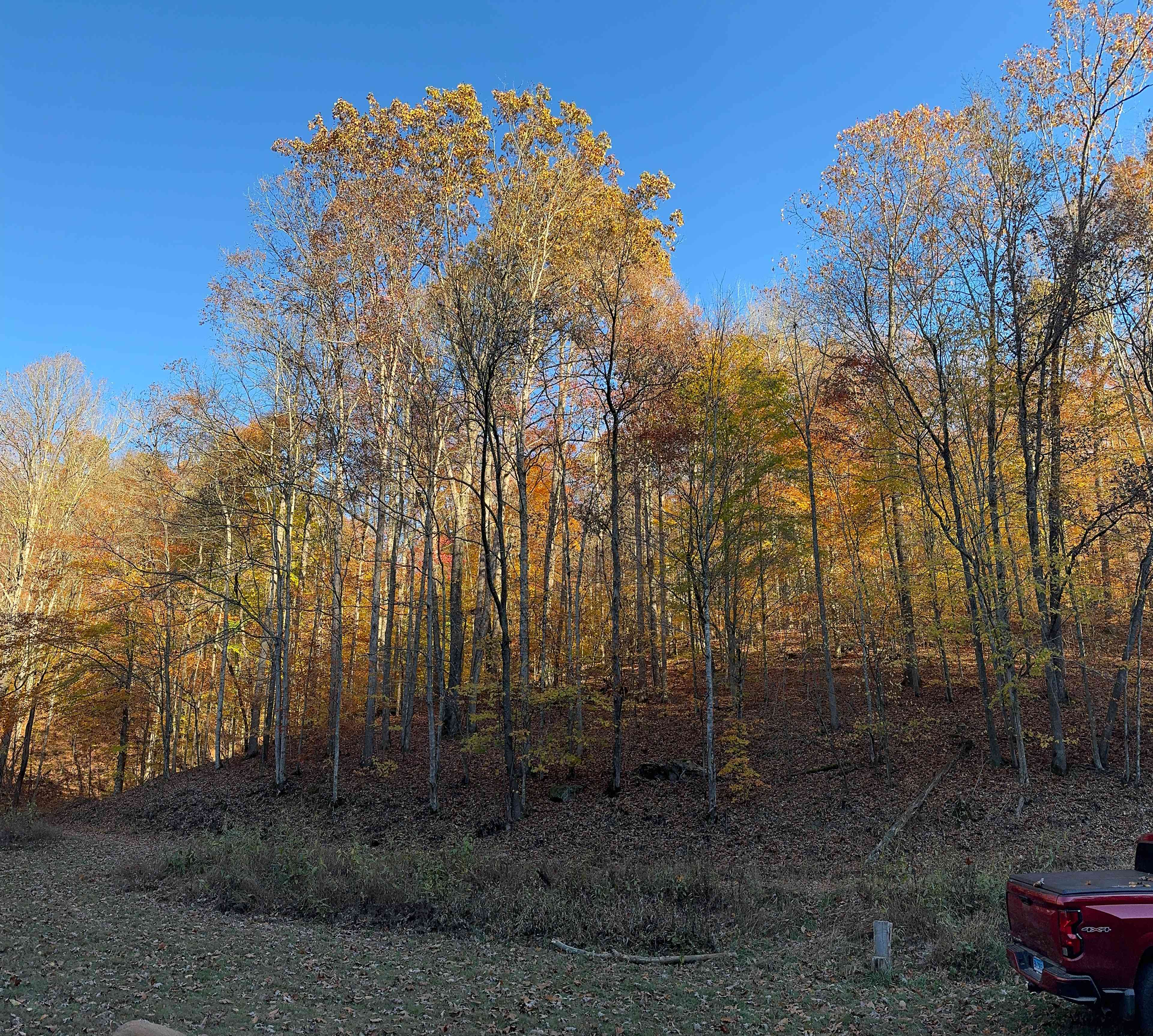 Coon Creek Cove Hideaway
