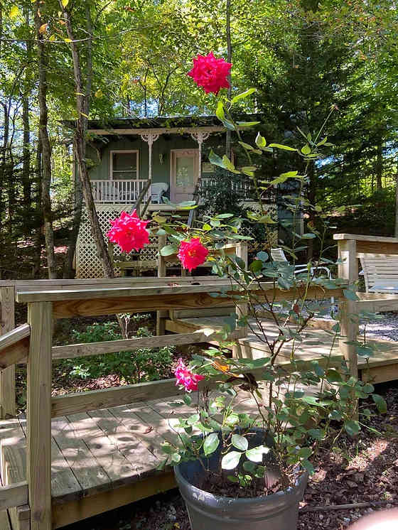 Misty Mountain Inn & Cottages