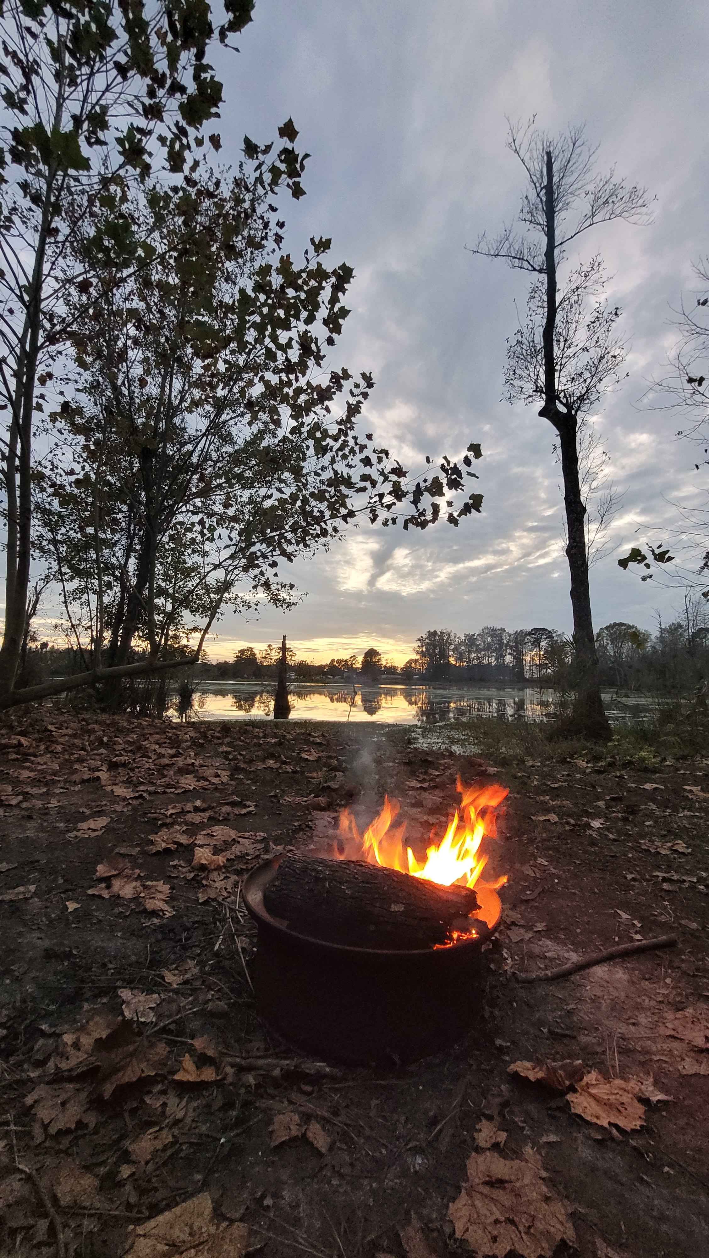 JCO Campground at Lee Baysden Pond