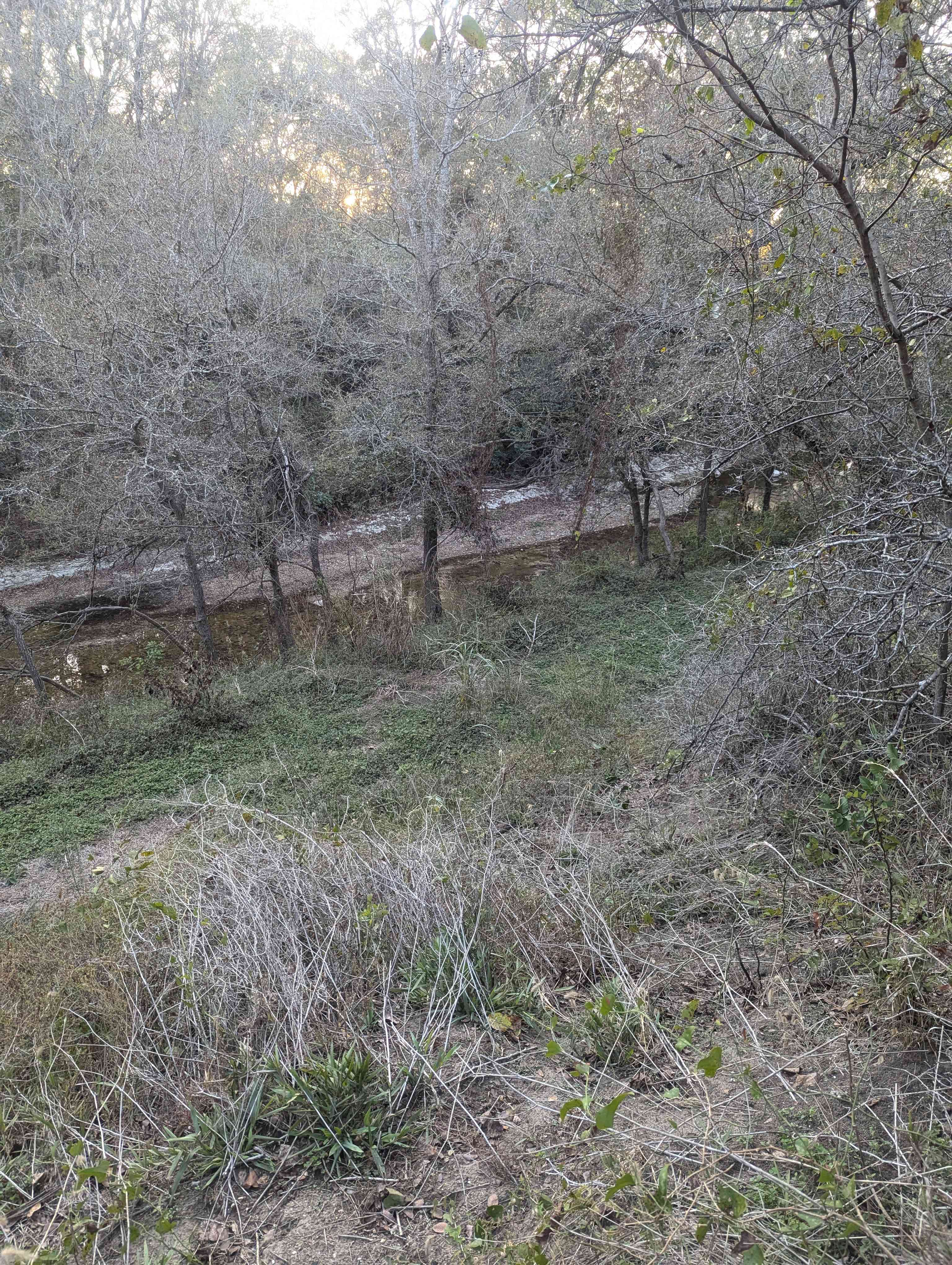 Rusty Acres