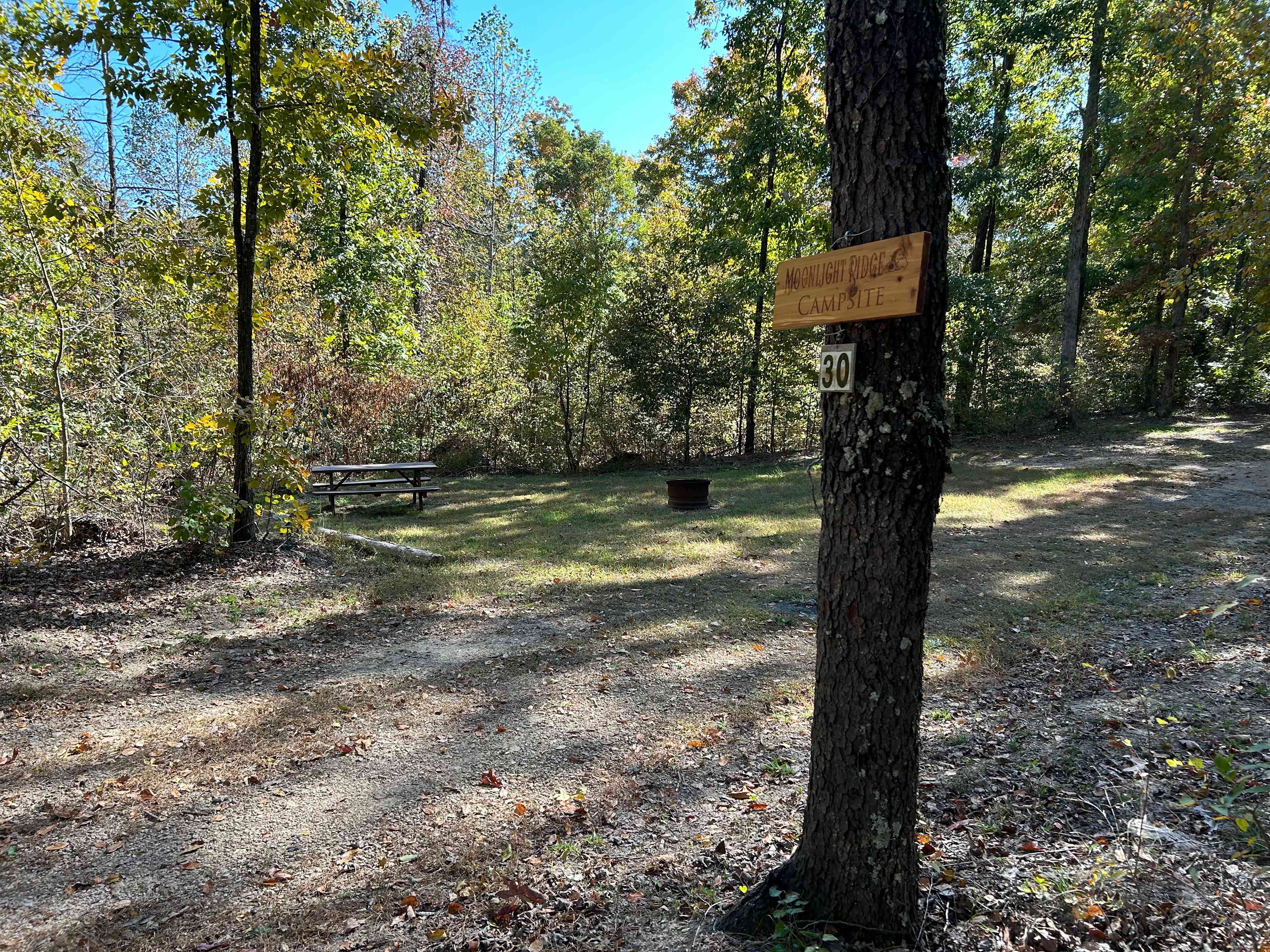 Moonlight Ridge is one of our largest campsites! It has picnic table and a fire pit and plenty of places to park and pitch a tent. The views from Moonlight Ridge are lovely. The elevation is over 700 feet. There are two hiking trails near this campsite. One trail is moderate while the other has a very steep hill and then levels off nicely. This campsite has great views overlooking the valley. 