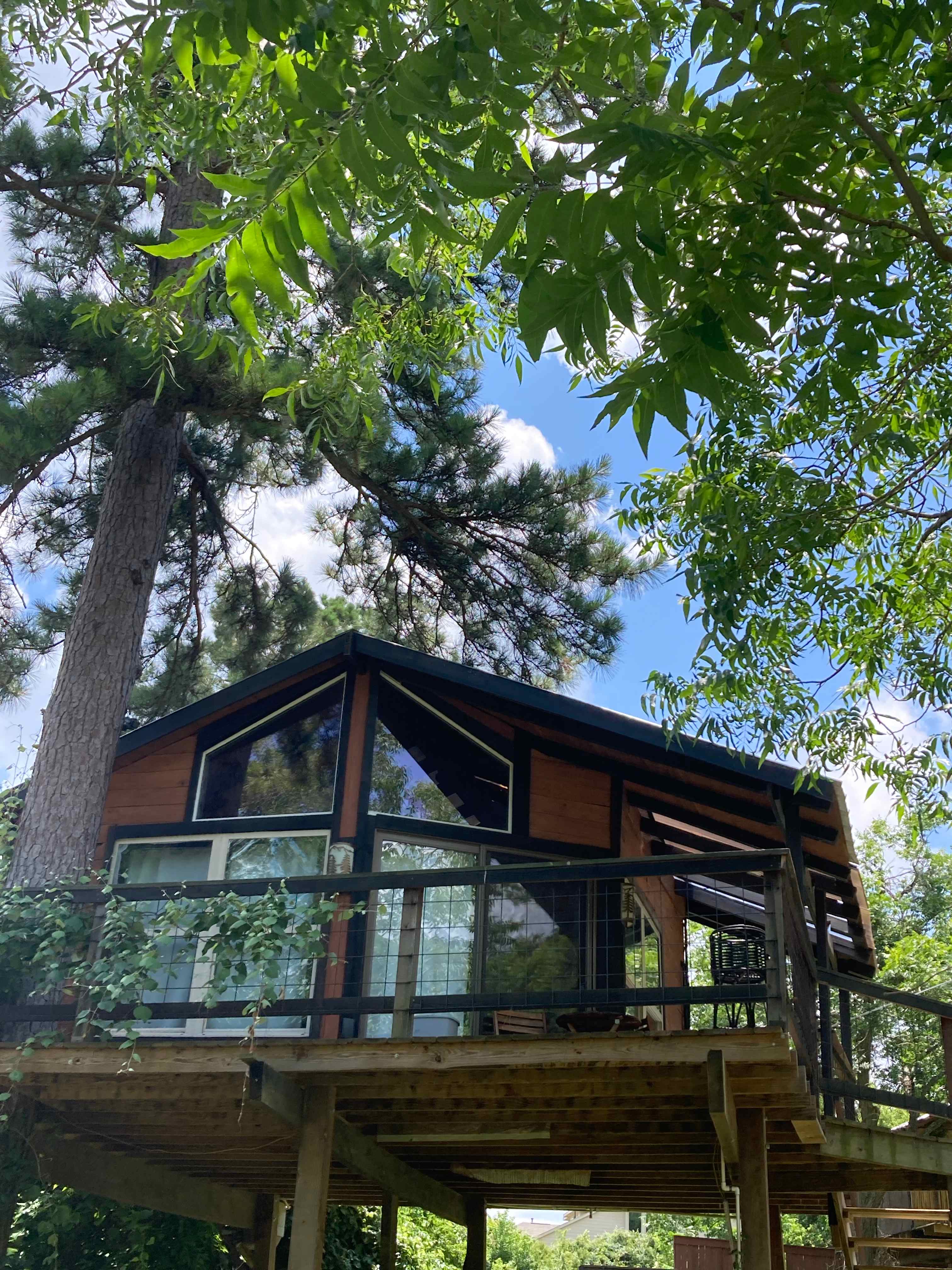 Pine Cone Treehouse