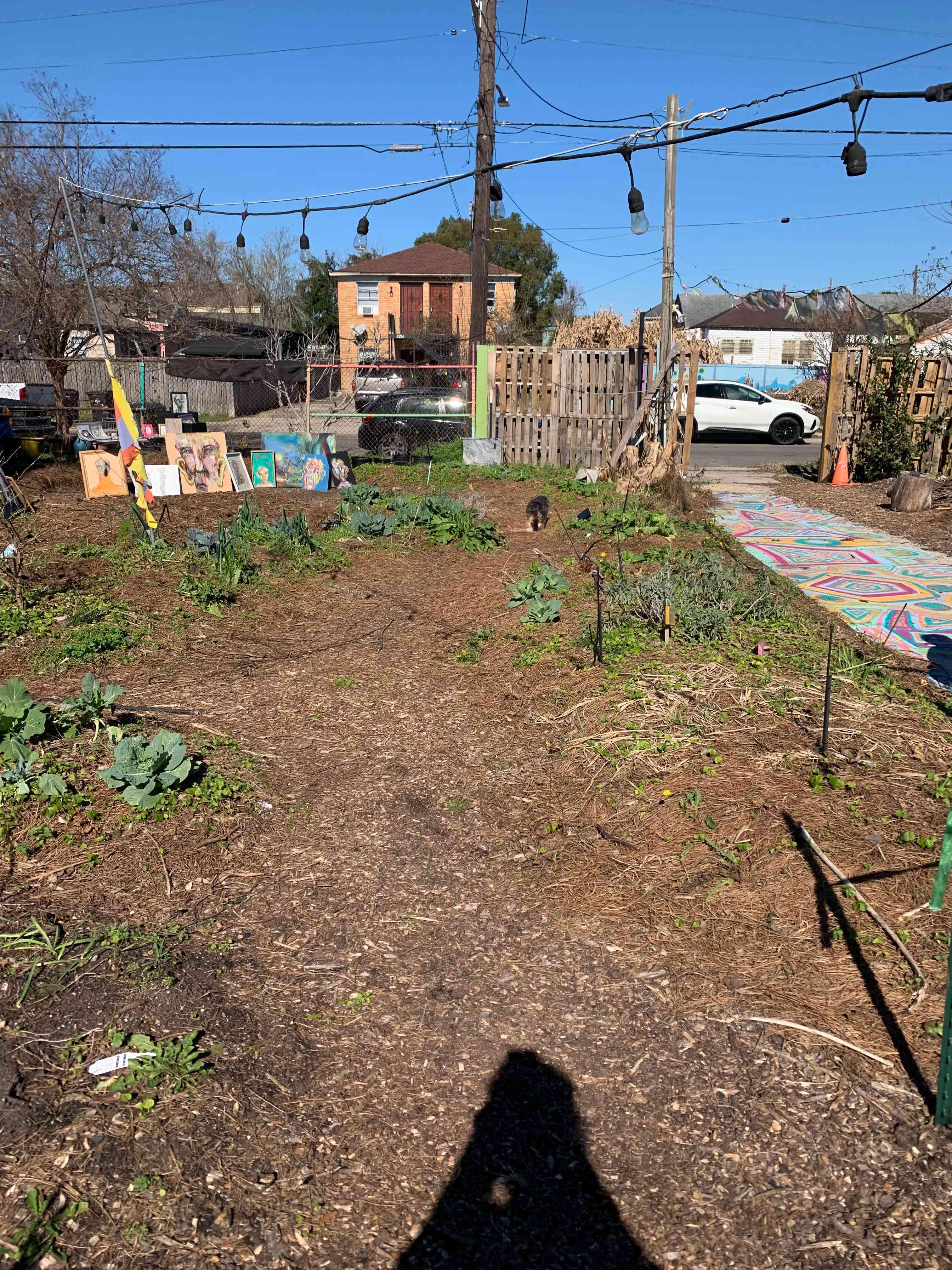 Grow On Urban Farm