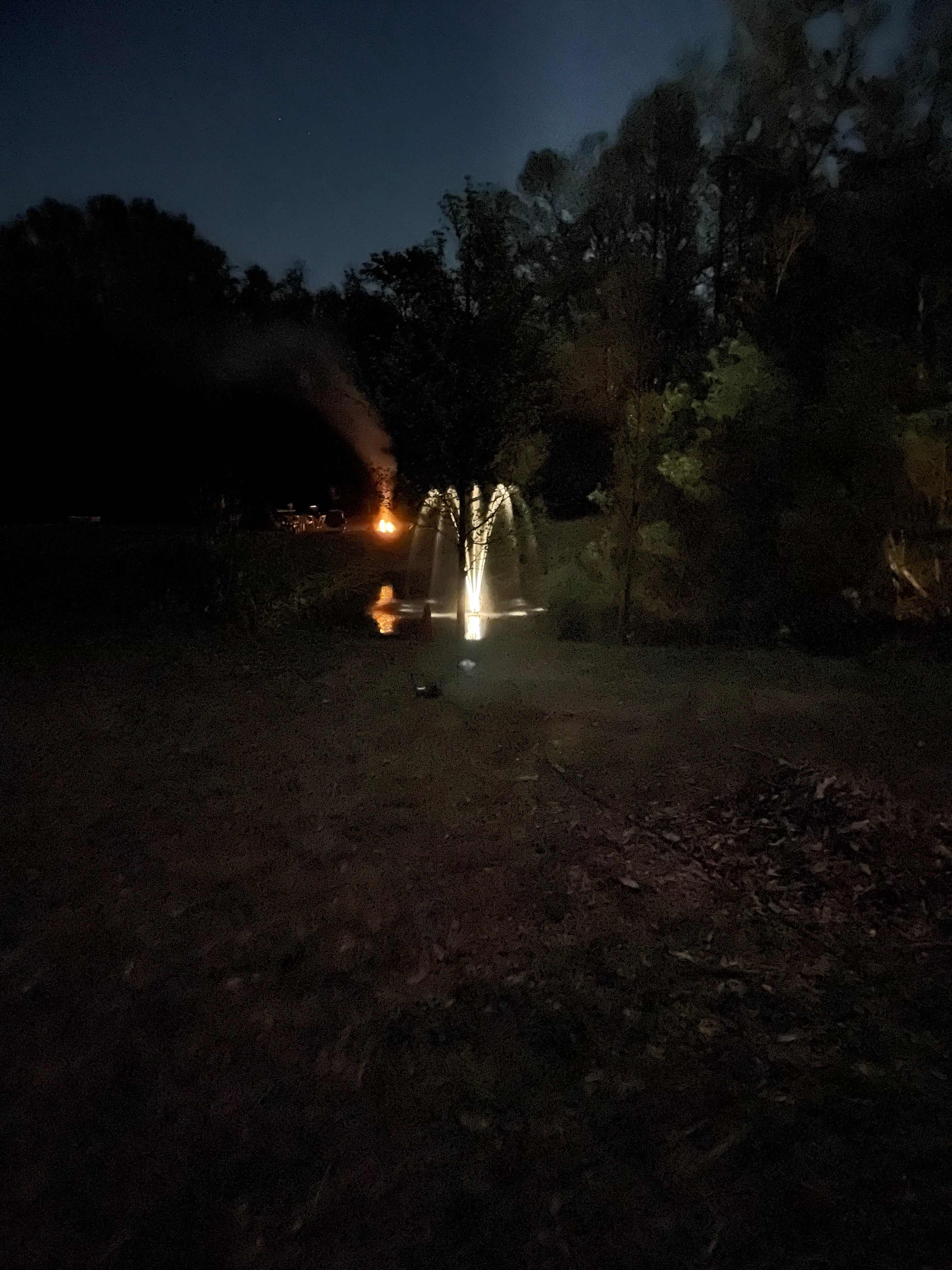 Wild Ways Retreat