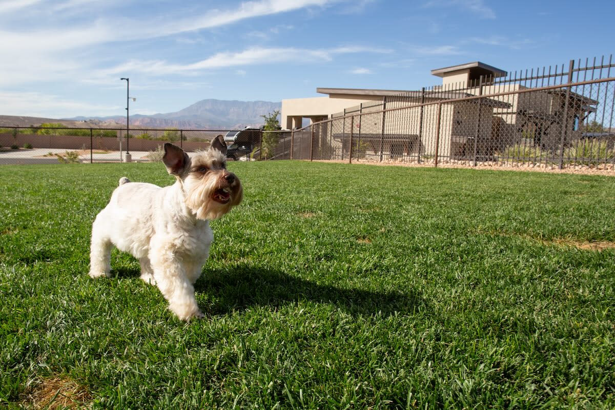 Gateway Luxury RV Resort