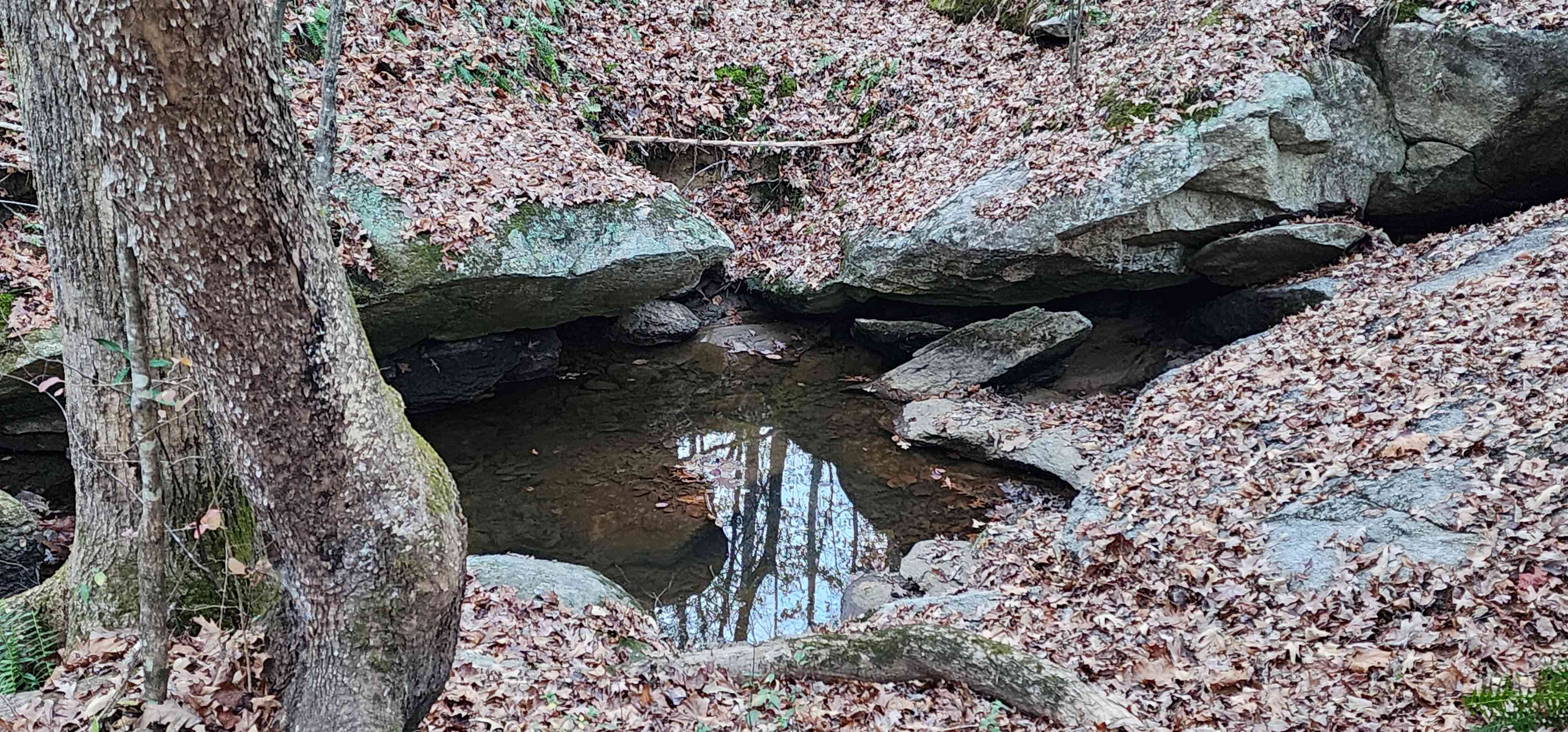 Boulder Creek Hideaway