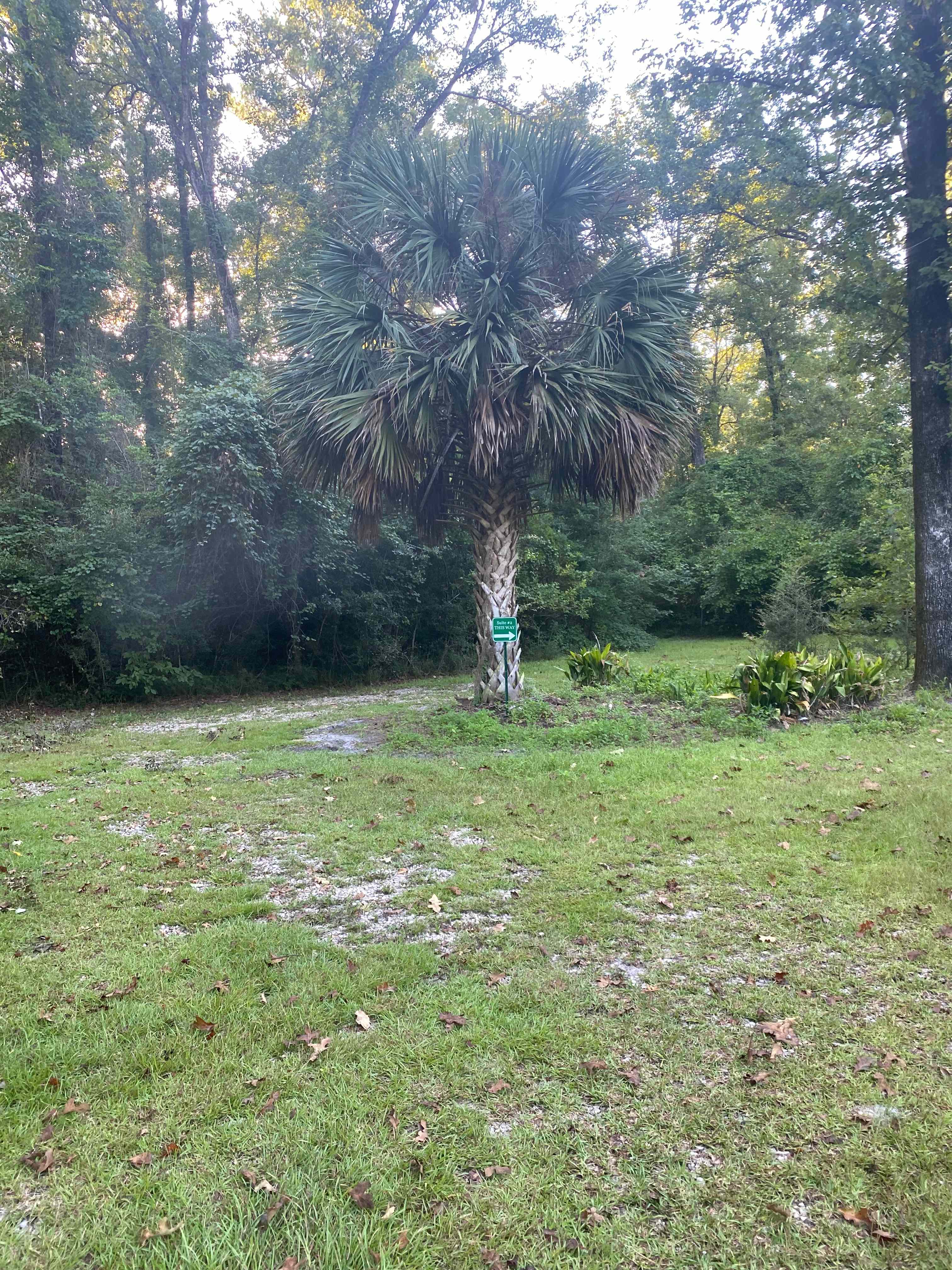 Spring Oasis