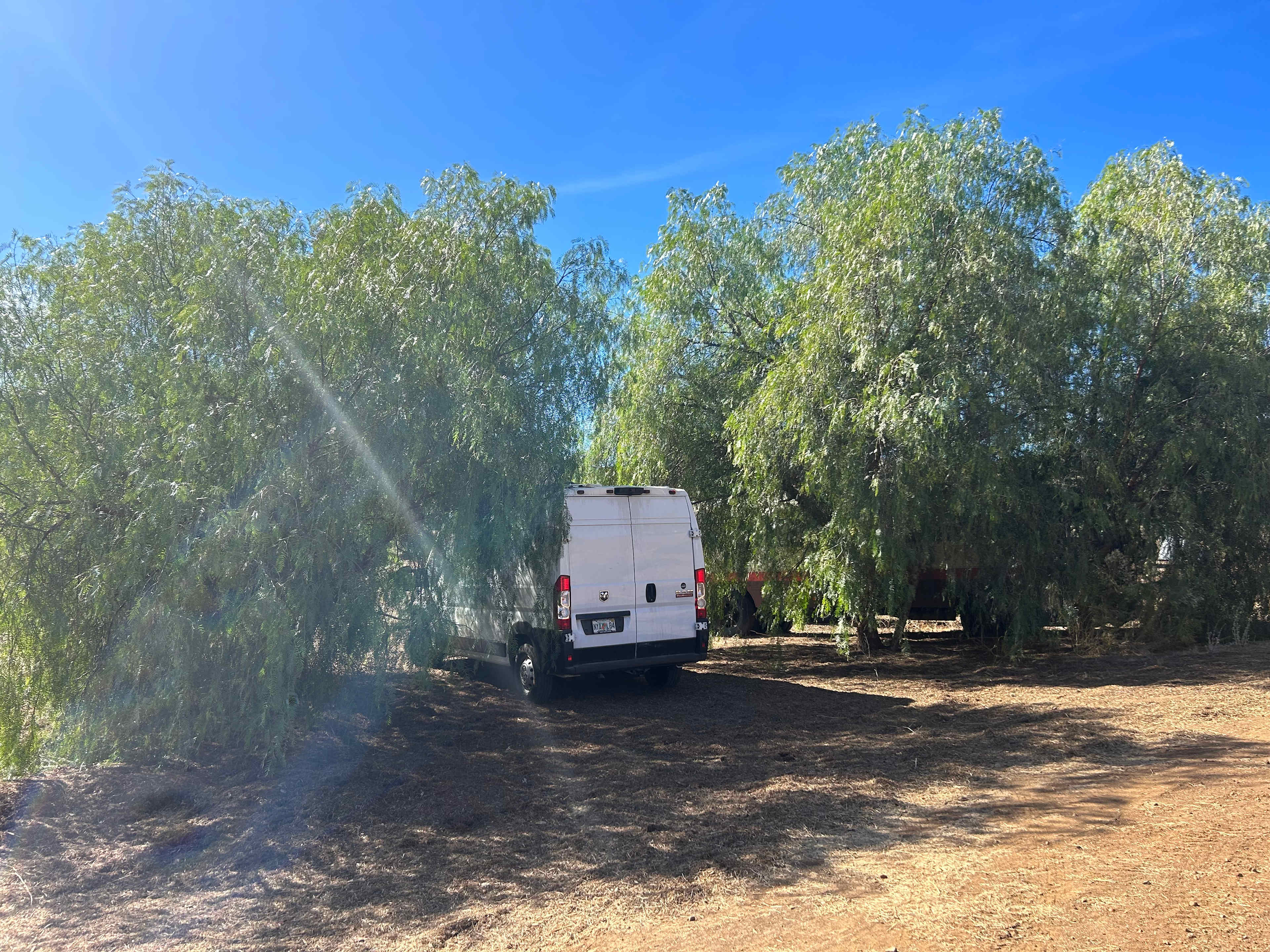 Wild Seeds Ranch