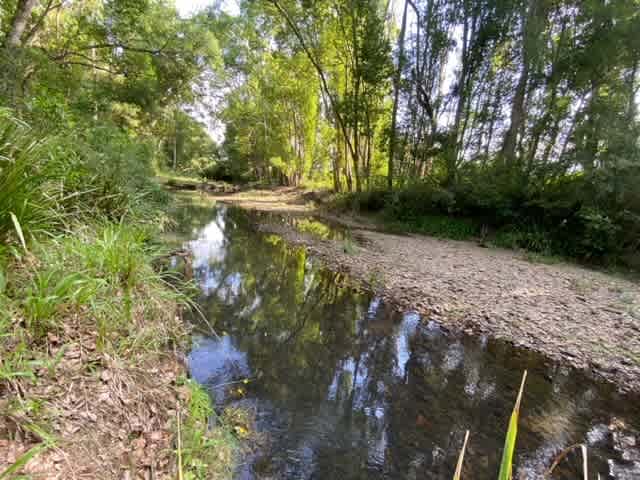 Tallowood Creek Camp