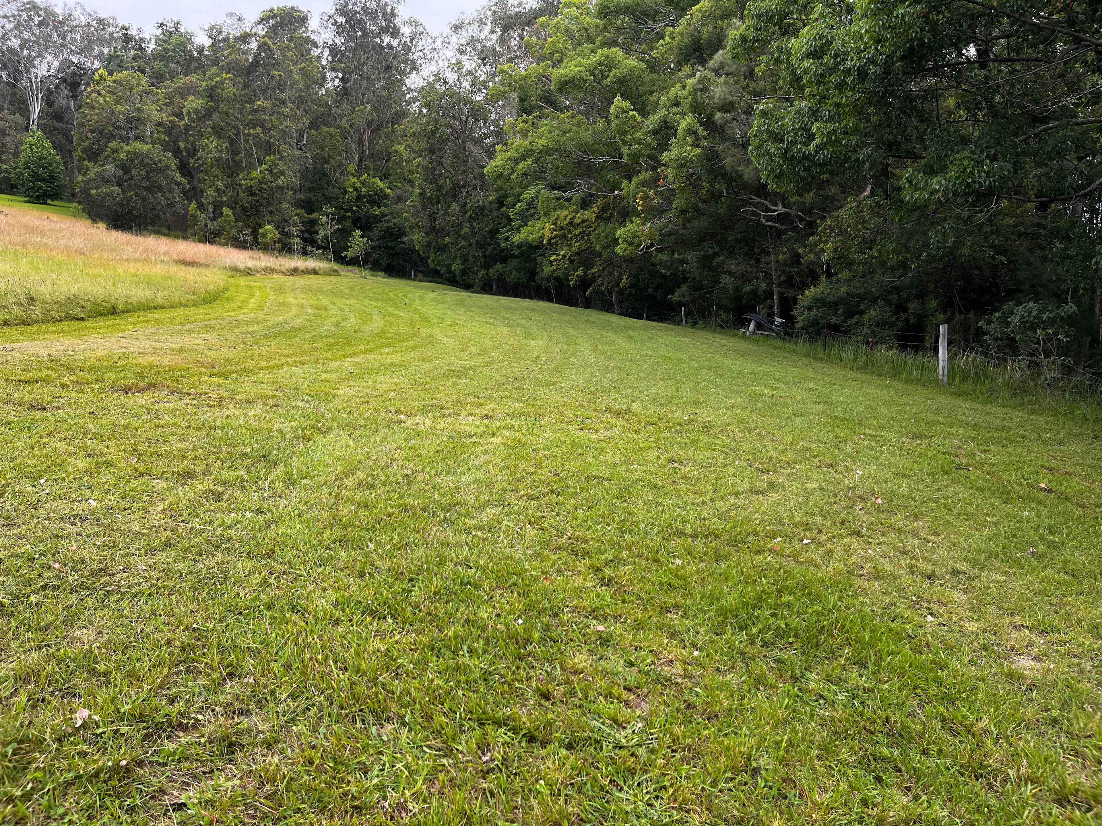 Tallowood Creek Camp