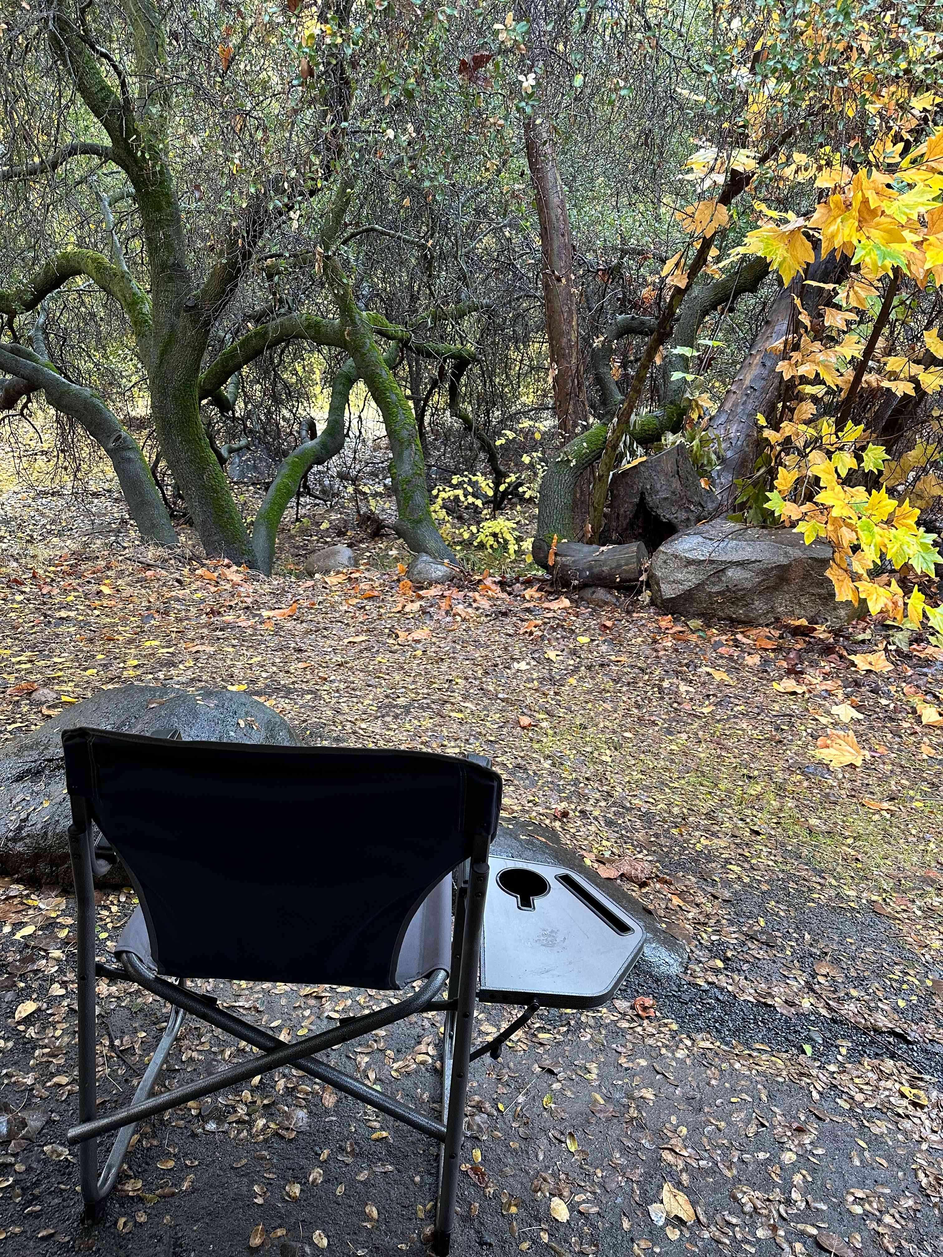 Sierra Foothills Ranch -722 acres