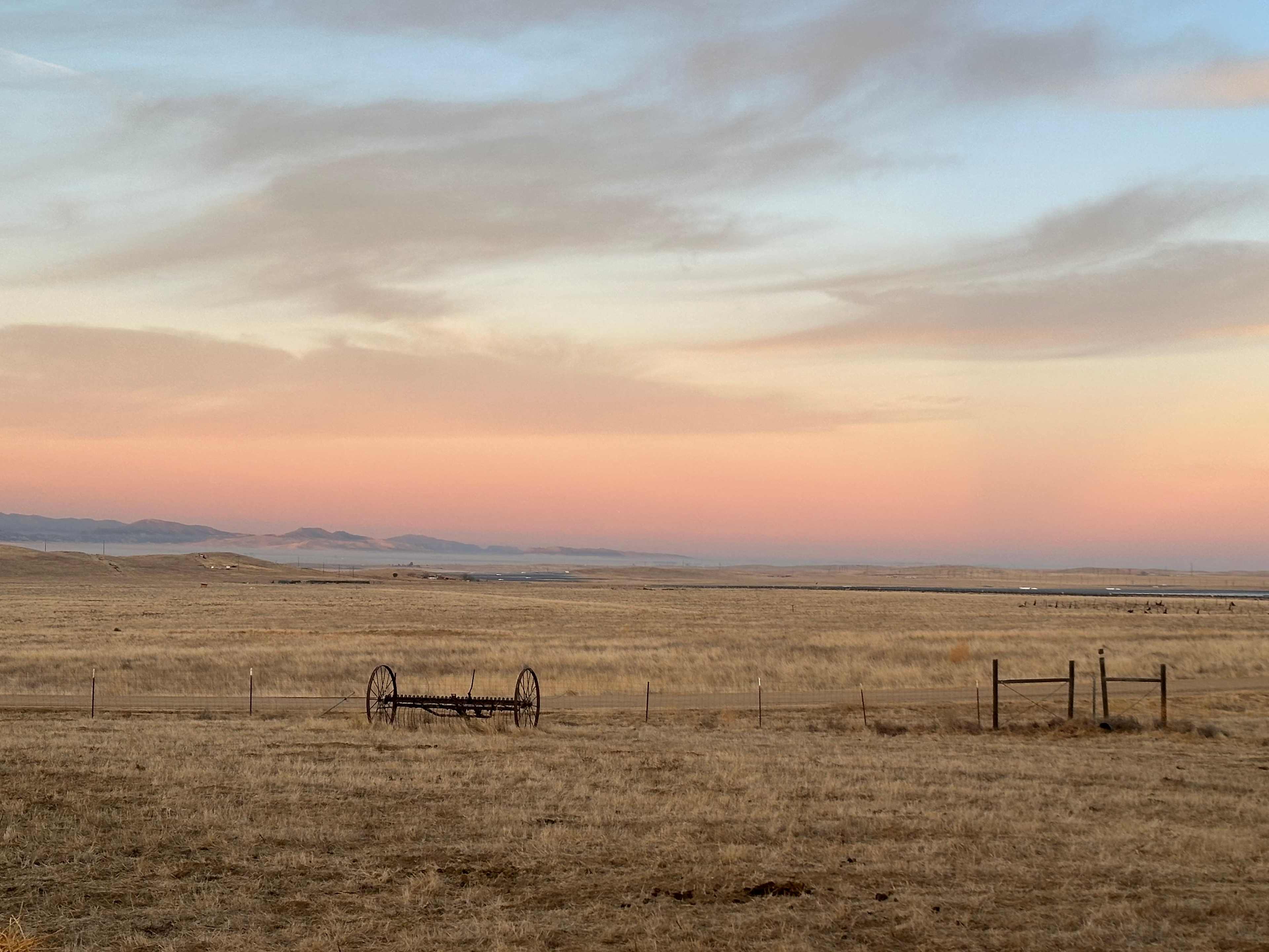 Wild Winds Rescue Ranch