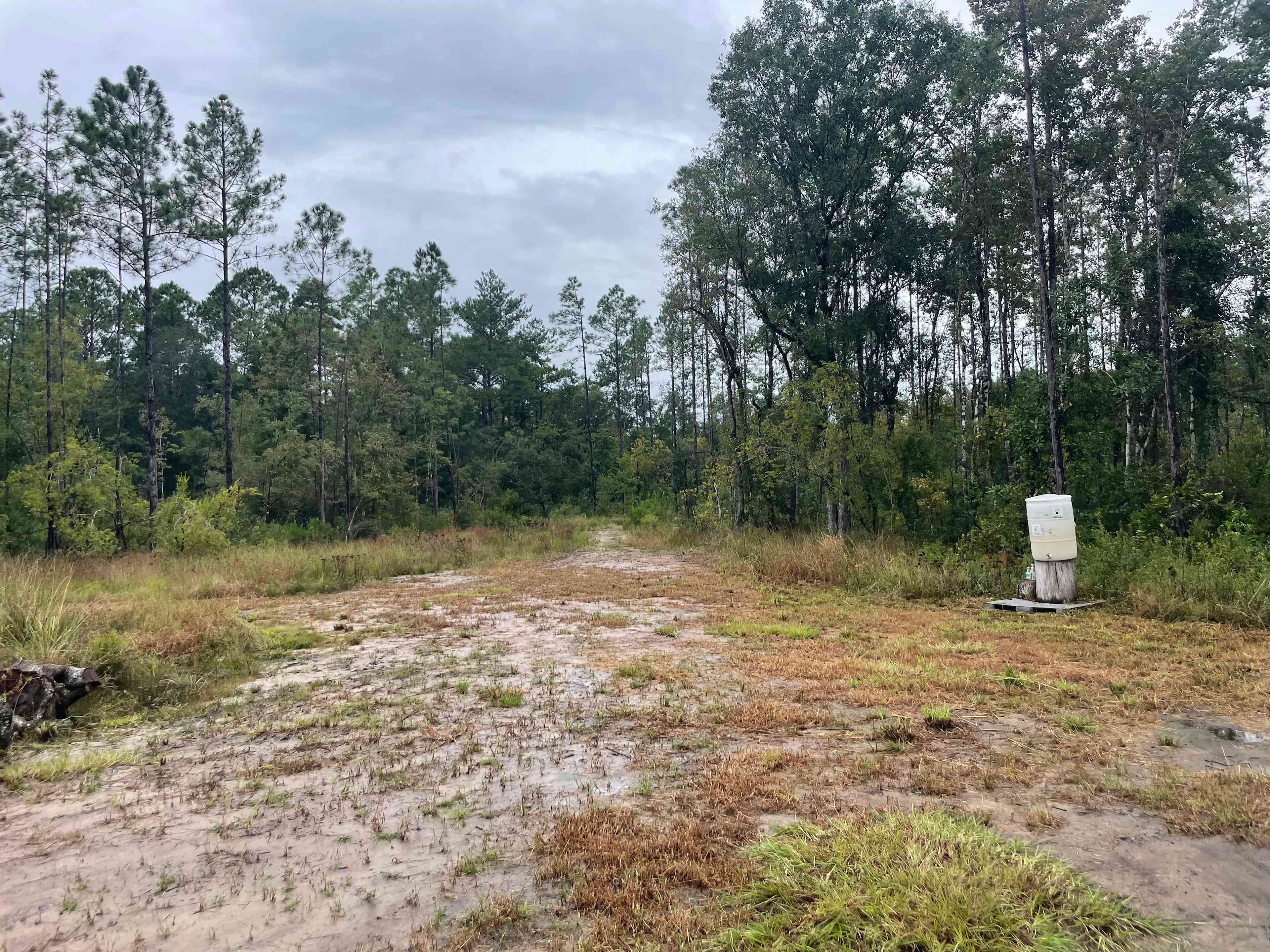 Florida Wildlands