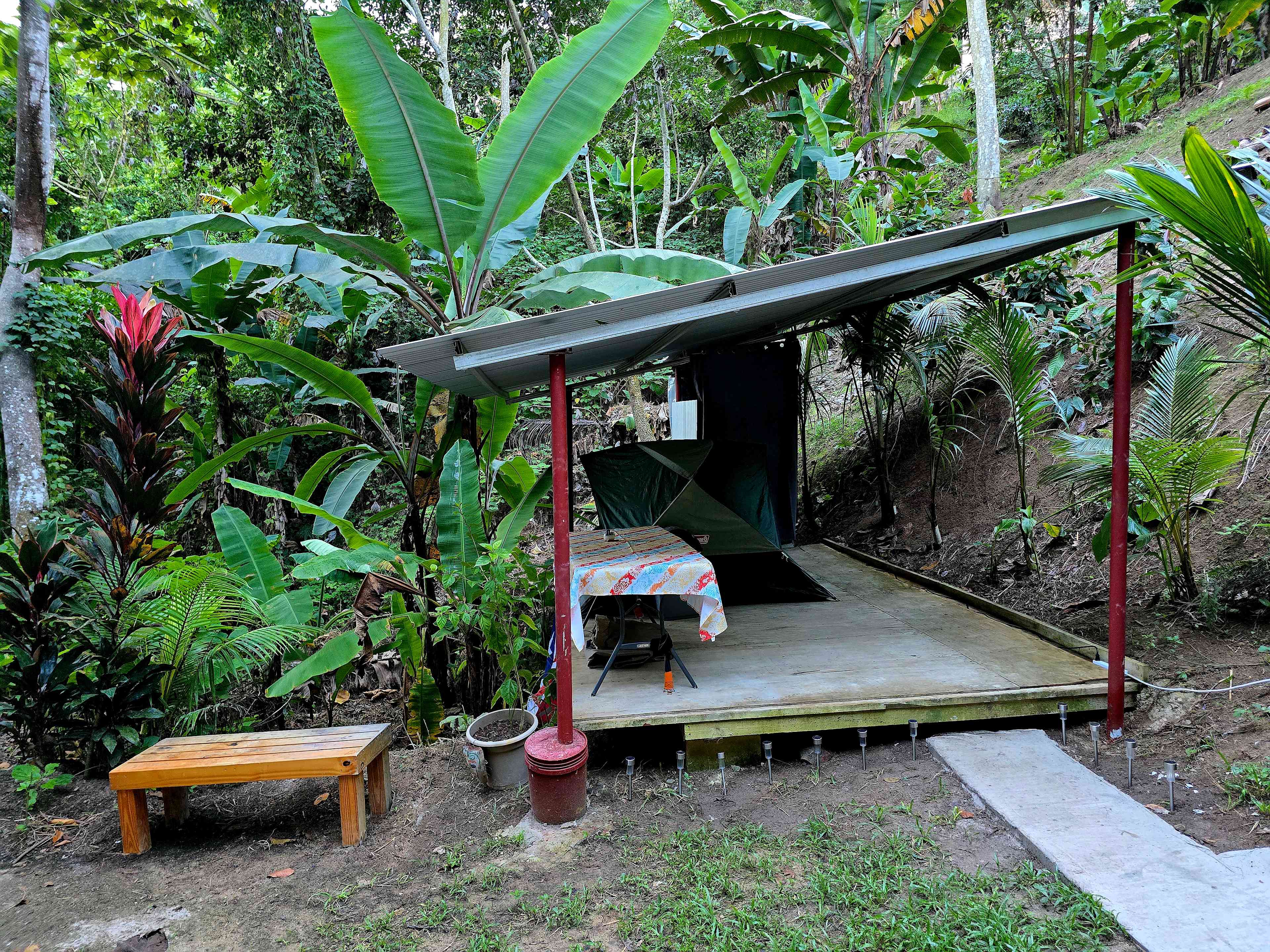 Huge banana trees, palms, ferns, and many beautiful flowers all over.  
Tent and table can be rearranged if needed.