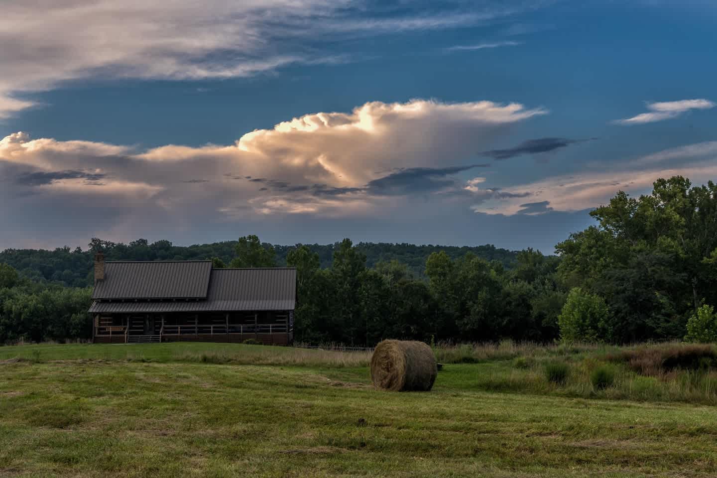 Goat Conspiracy Cabin