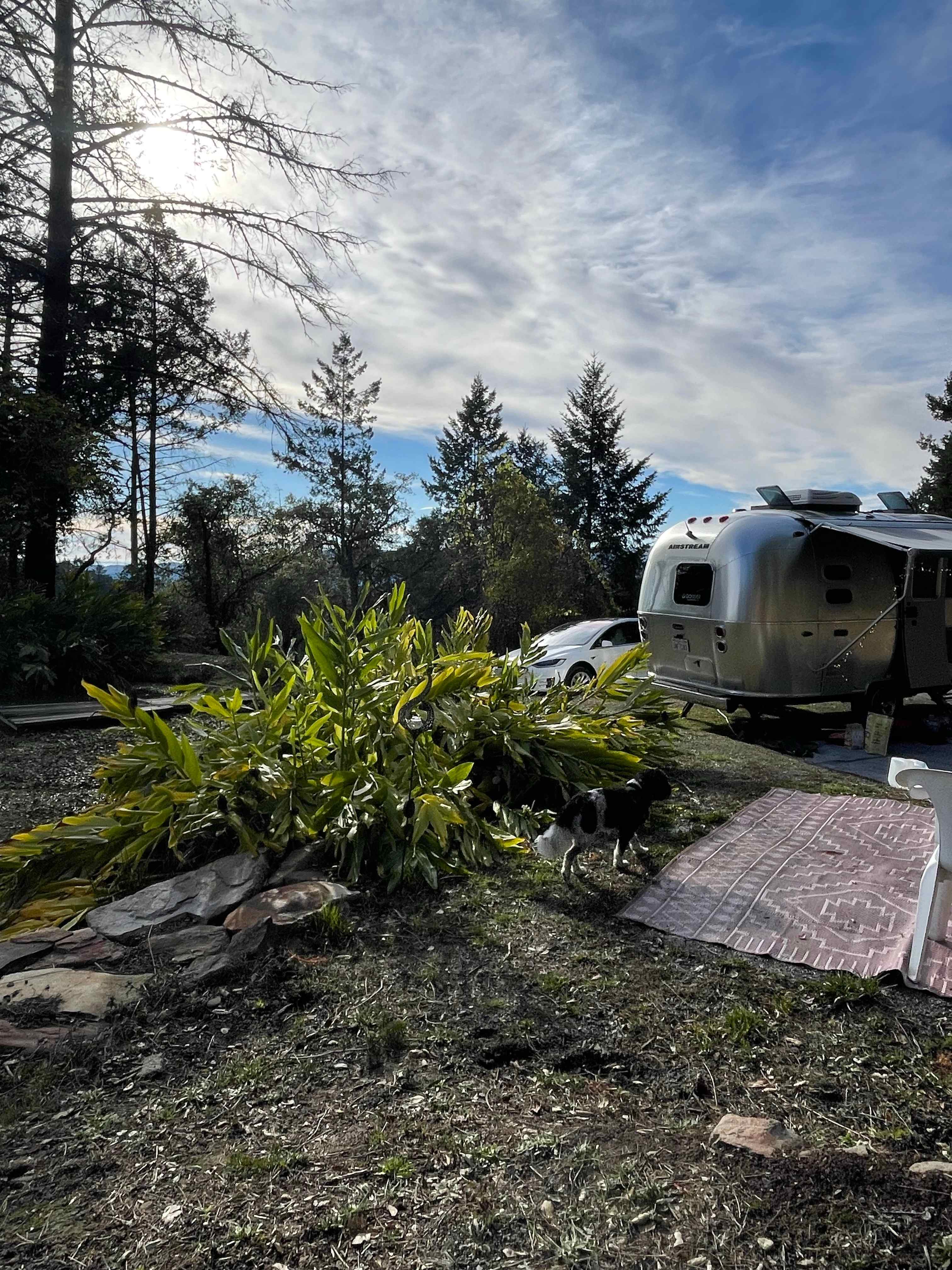 RV Camping Near Vallejo, CA, US: 20 Best RV Parks 2026 | Hipcamp