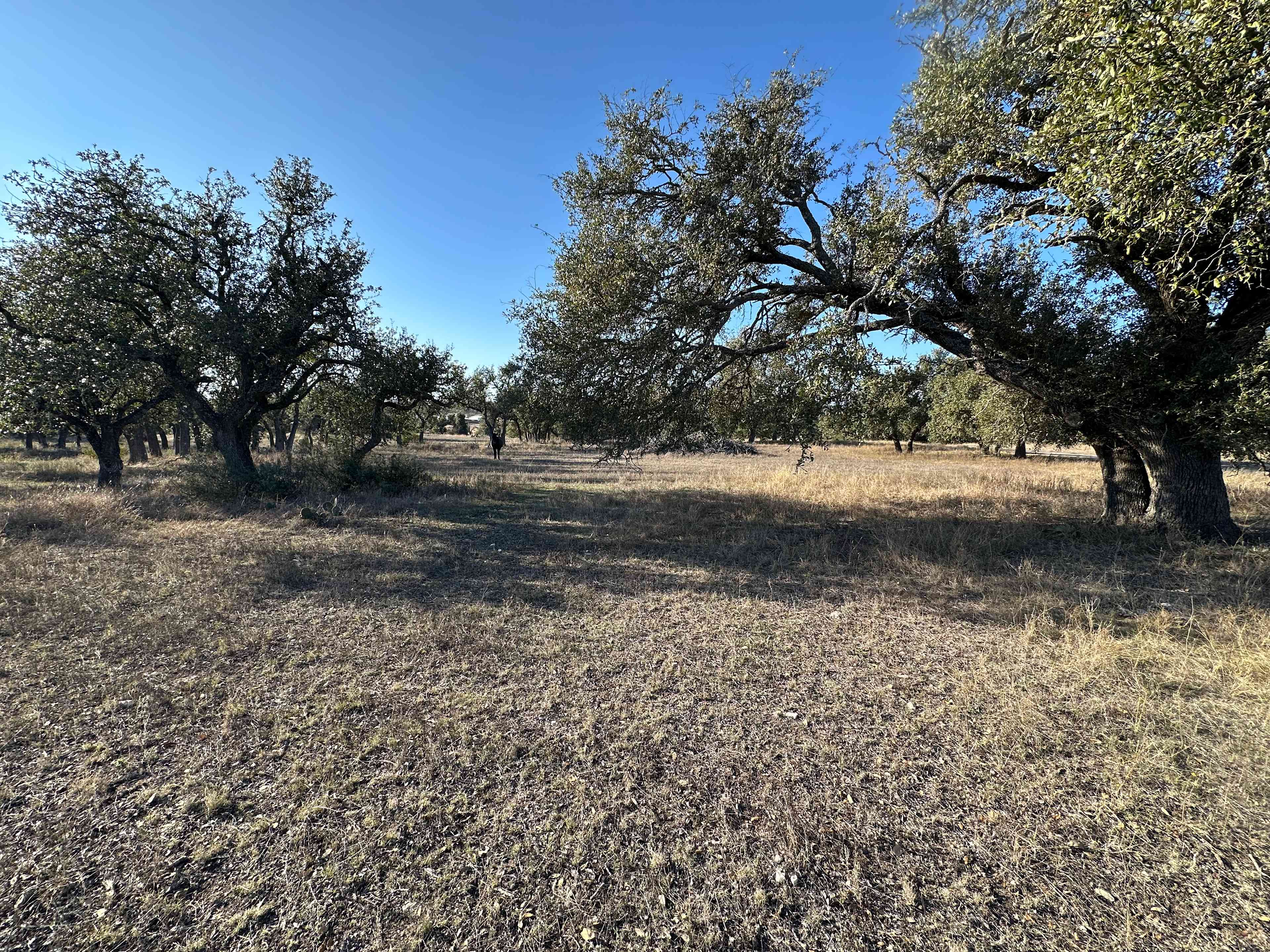 Starlit Flat on the 1873 Ranch