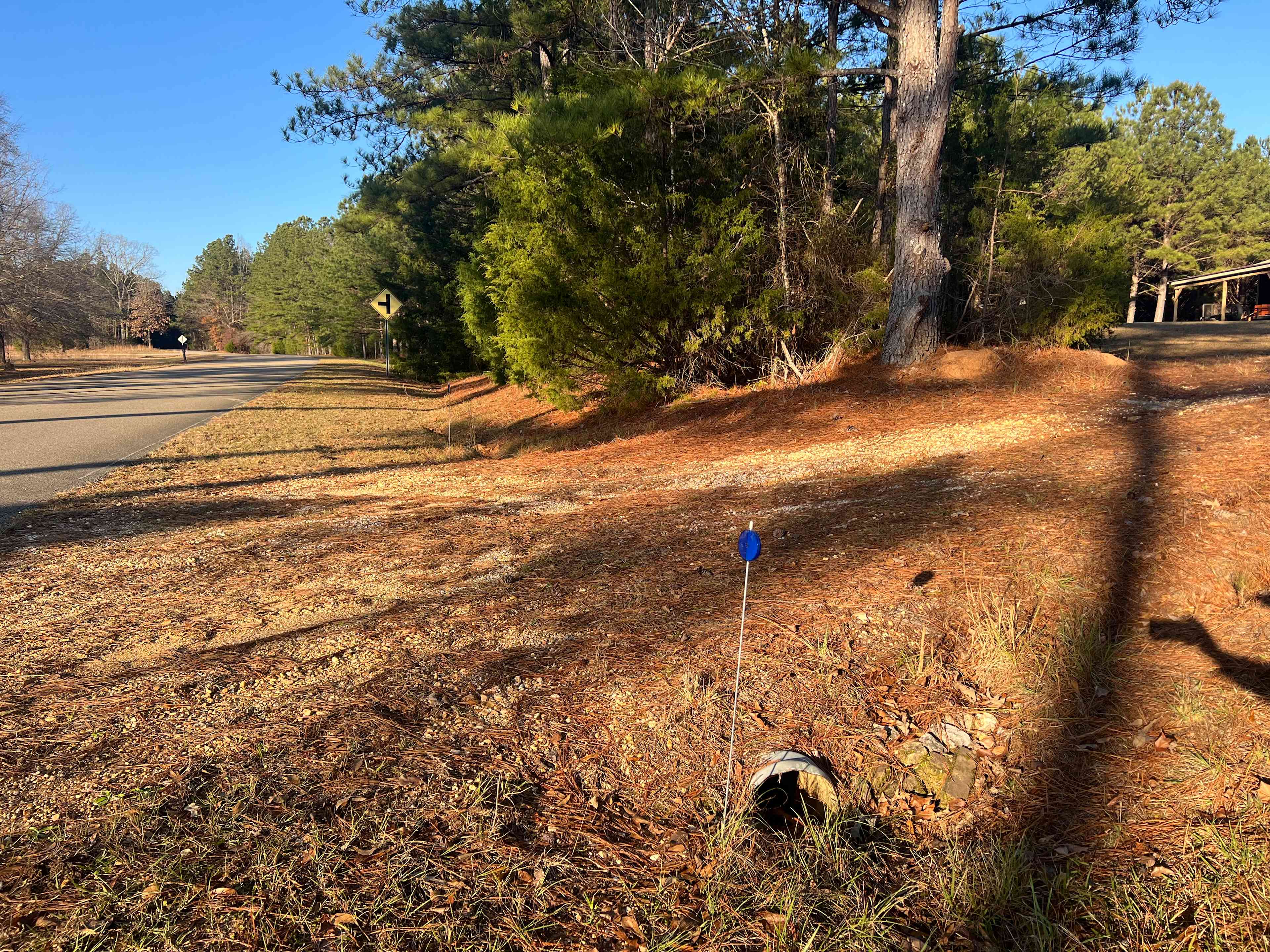 White Pines Camp